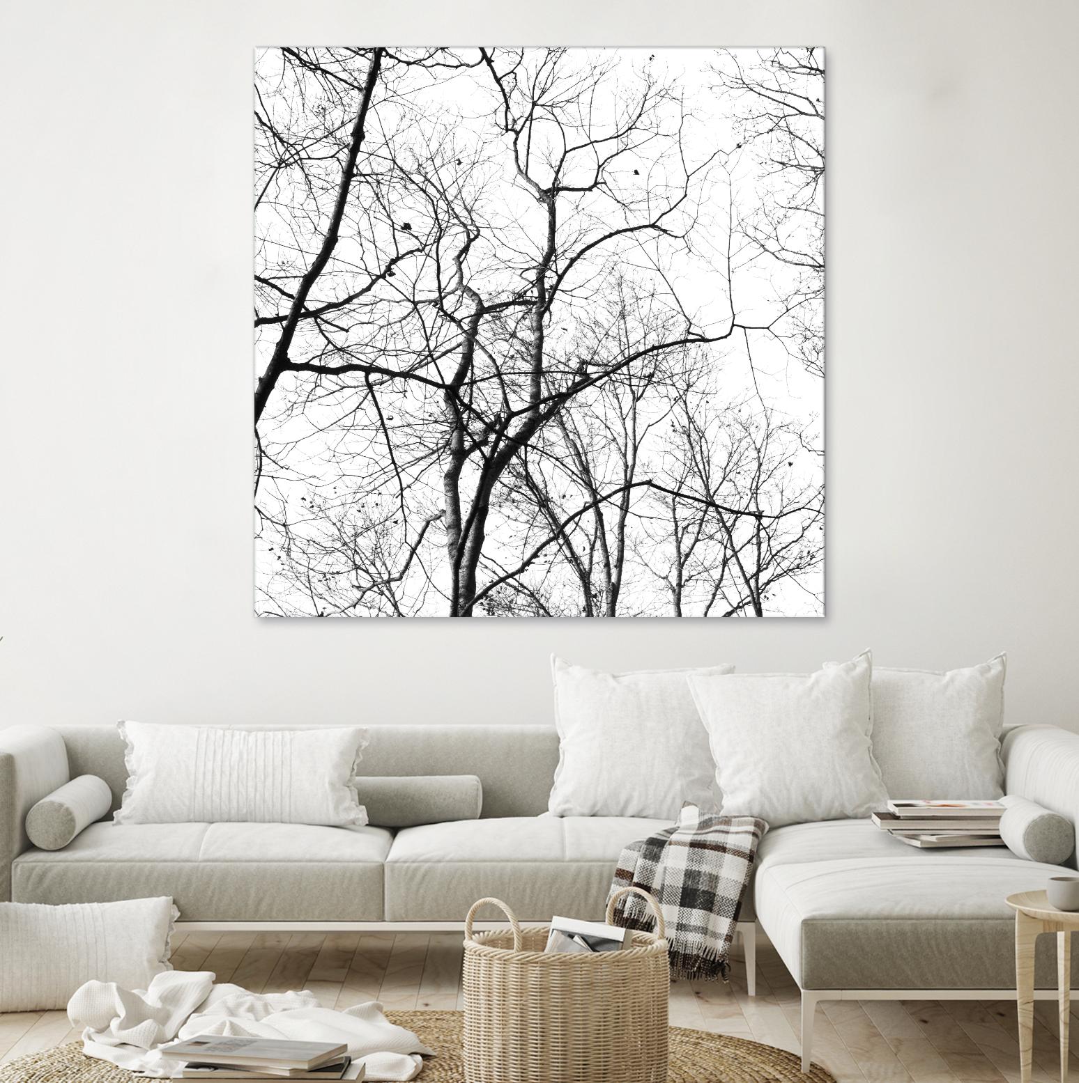 Billows I by Judy Stalus on GIANT ART - black trees