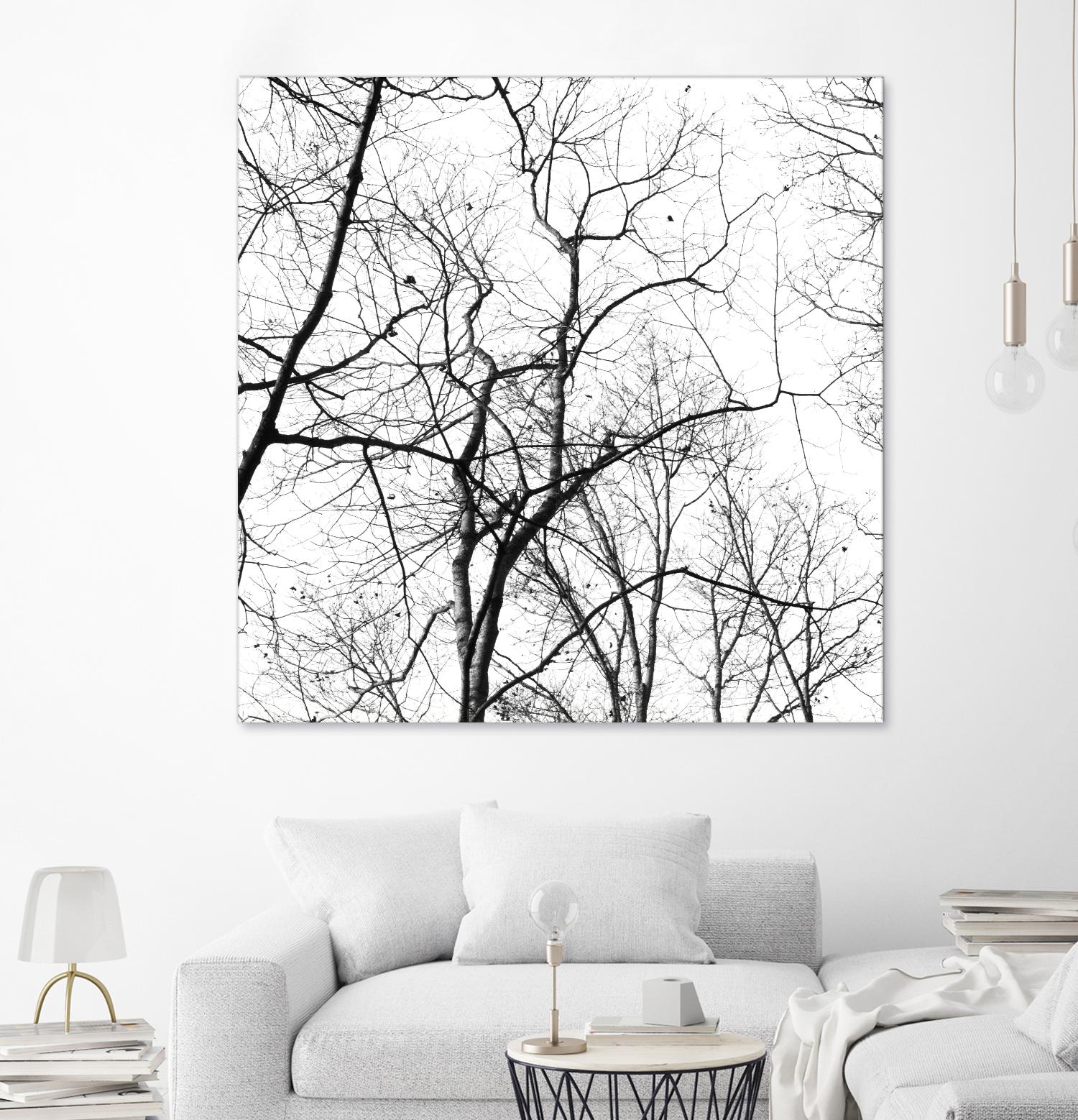Billows I by Judy Stalus on GIANT ART - black trees