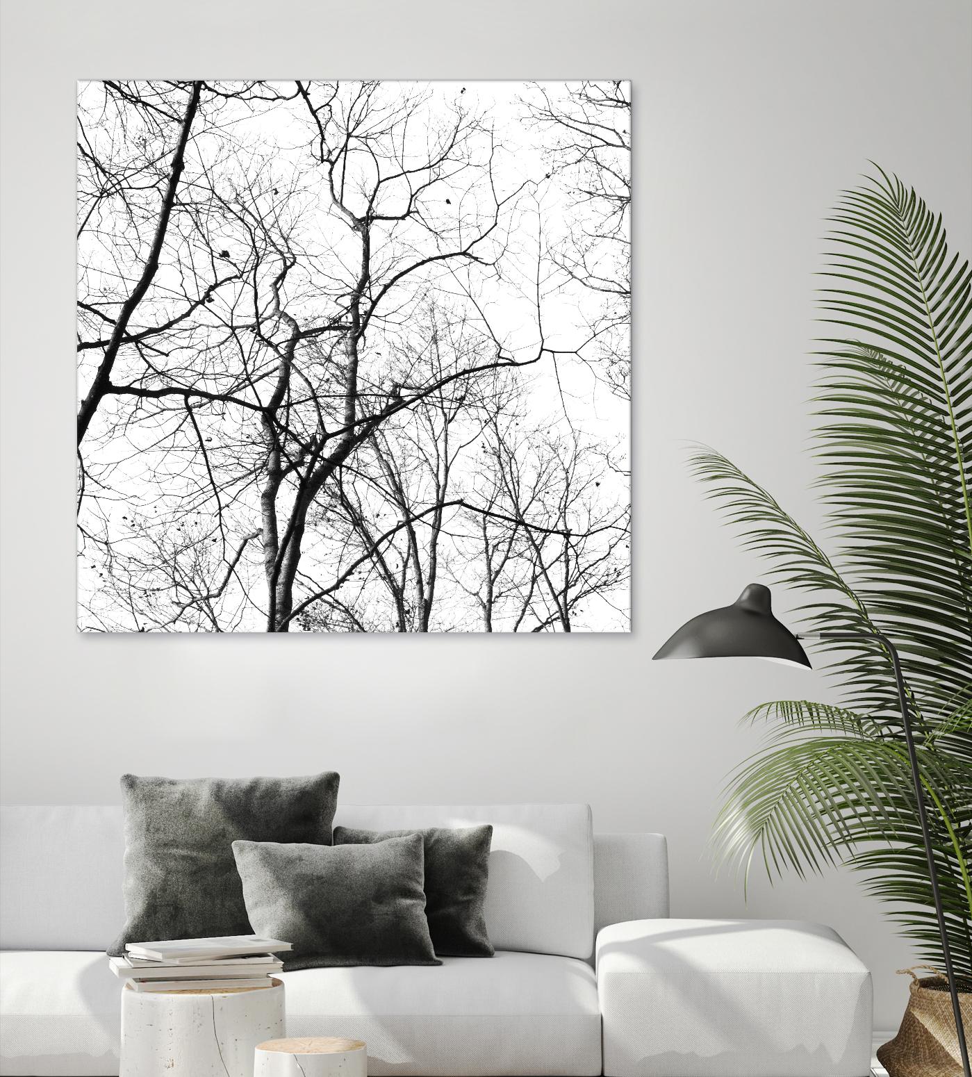 Billows I by Judy Stalus on GIANT ART - black trees