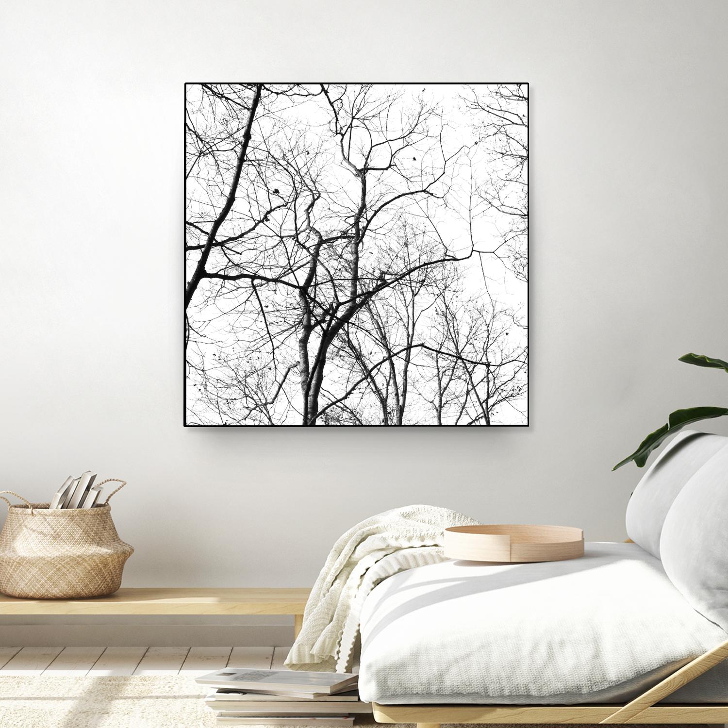 Billows I by Judy Stalus on GIANT ART - black trees