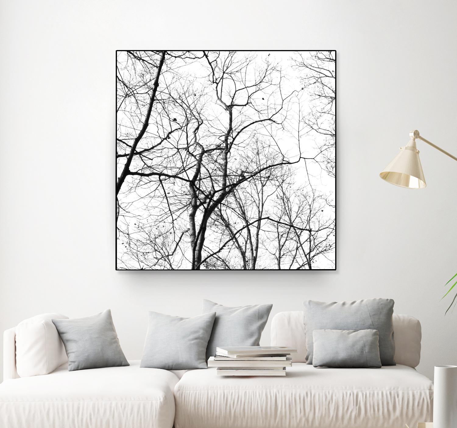 Billows I by Judy Stalus on GIANT ART - black trees