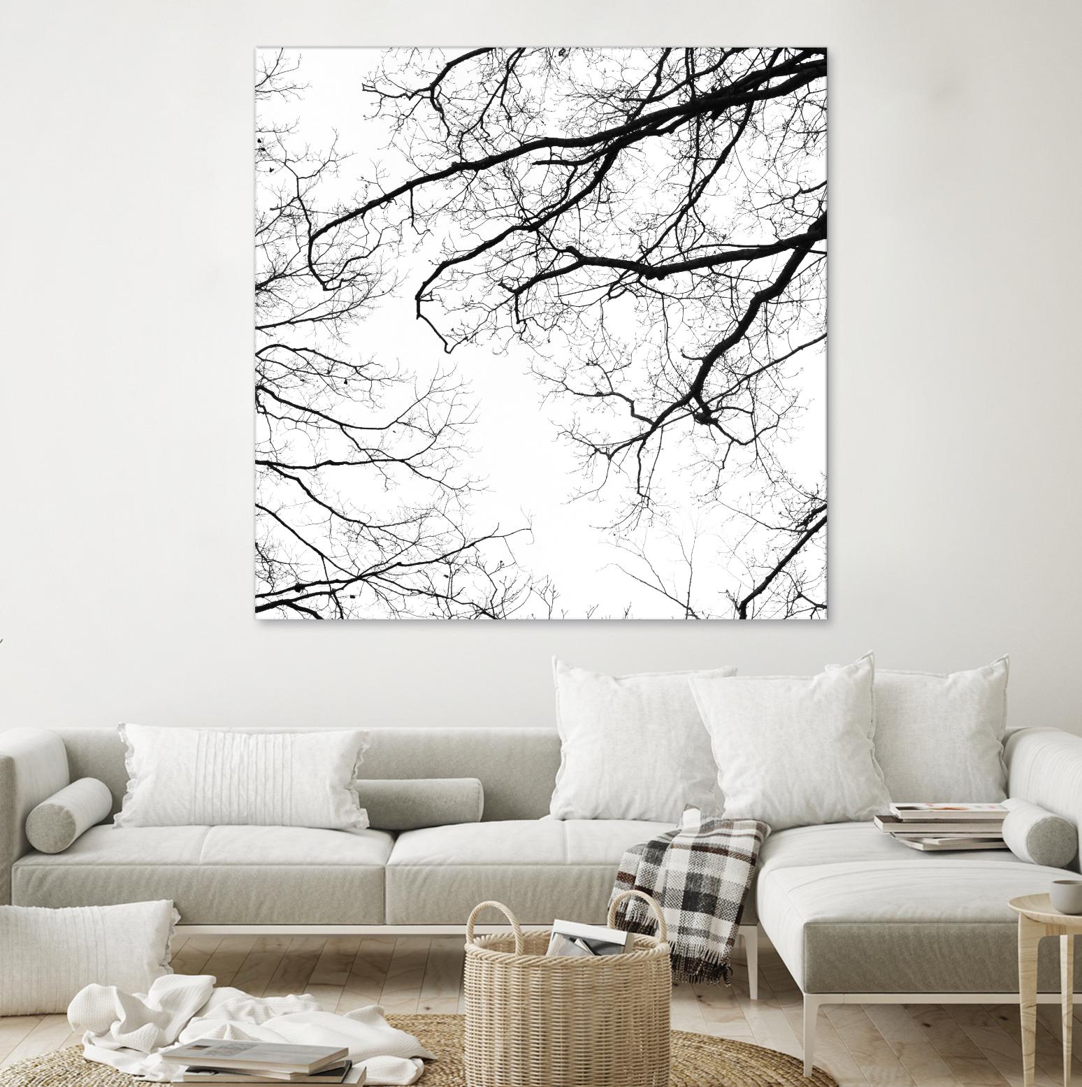 Billows II by Judy Stalus on GIANT ART - black trees