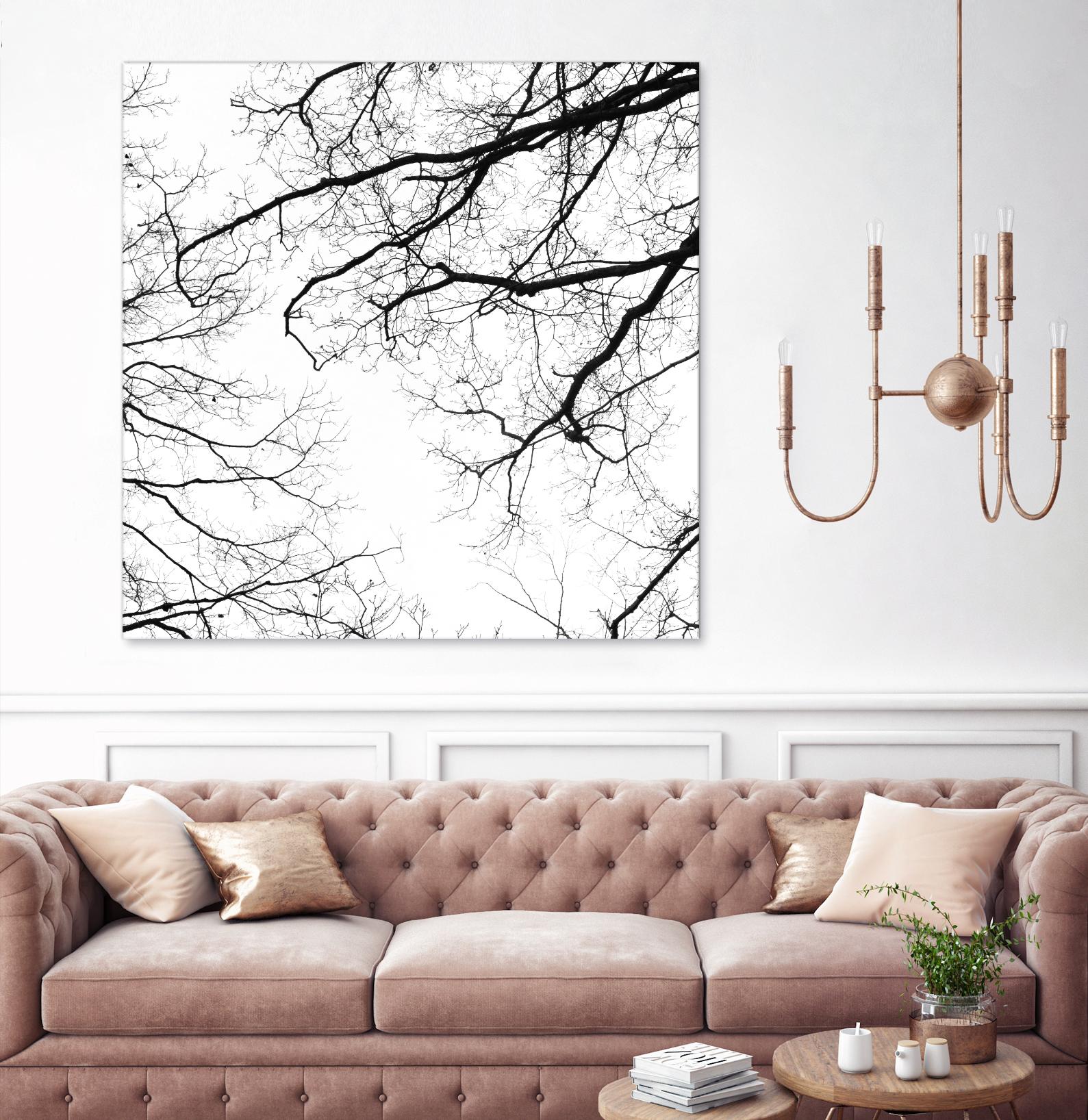 Billows II by Judy Stalus on GIANT ART - black trees