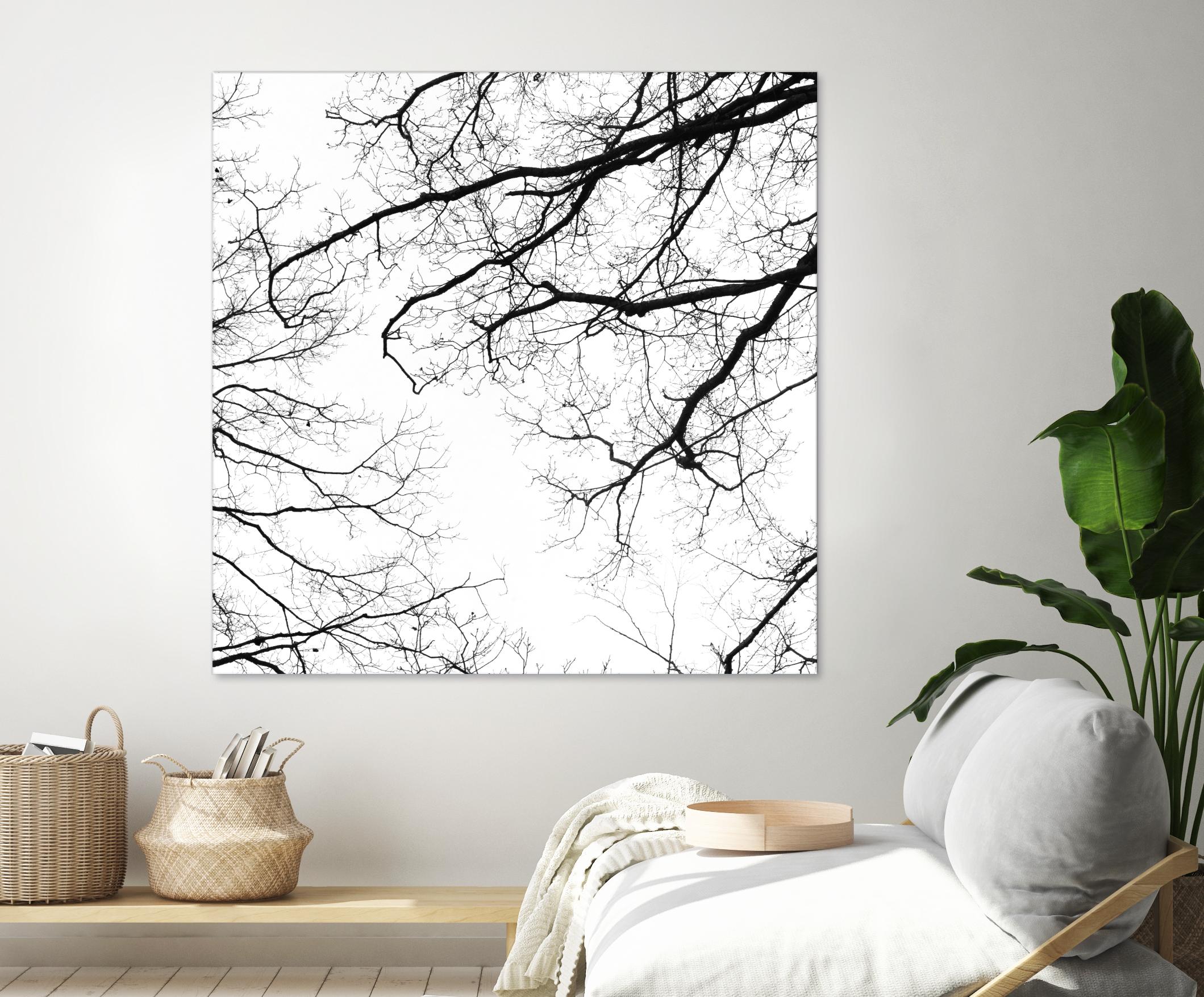 Billows II by Judy Stalus on GIANT ART - black trees