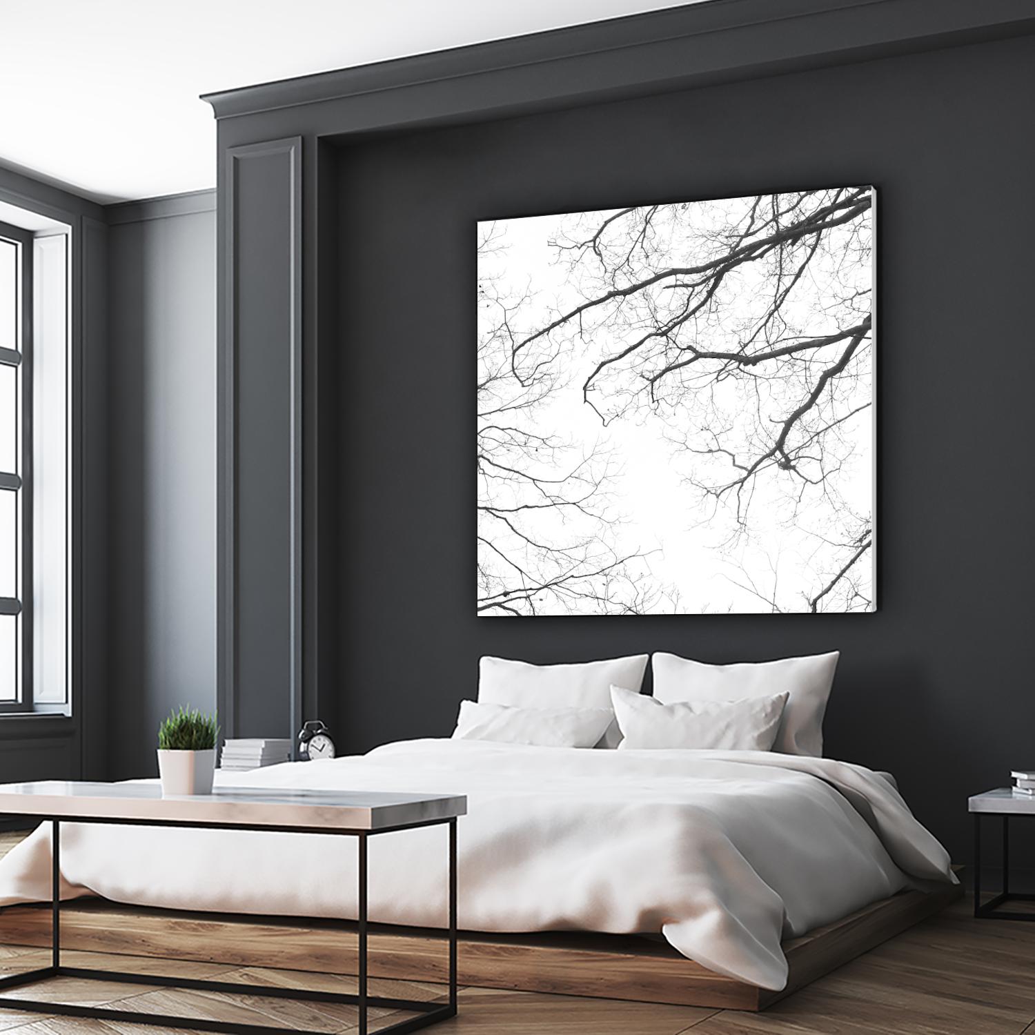 Billows II by Judy Stalus on GIANT ART - black trees