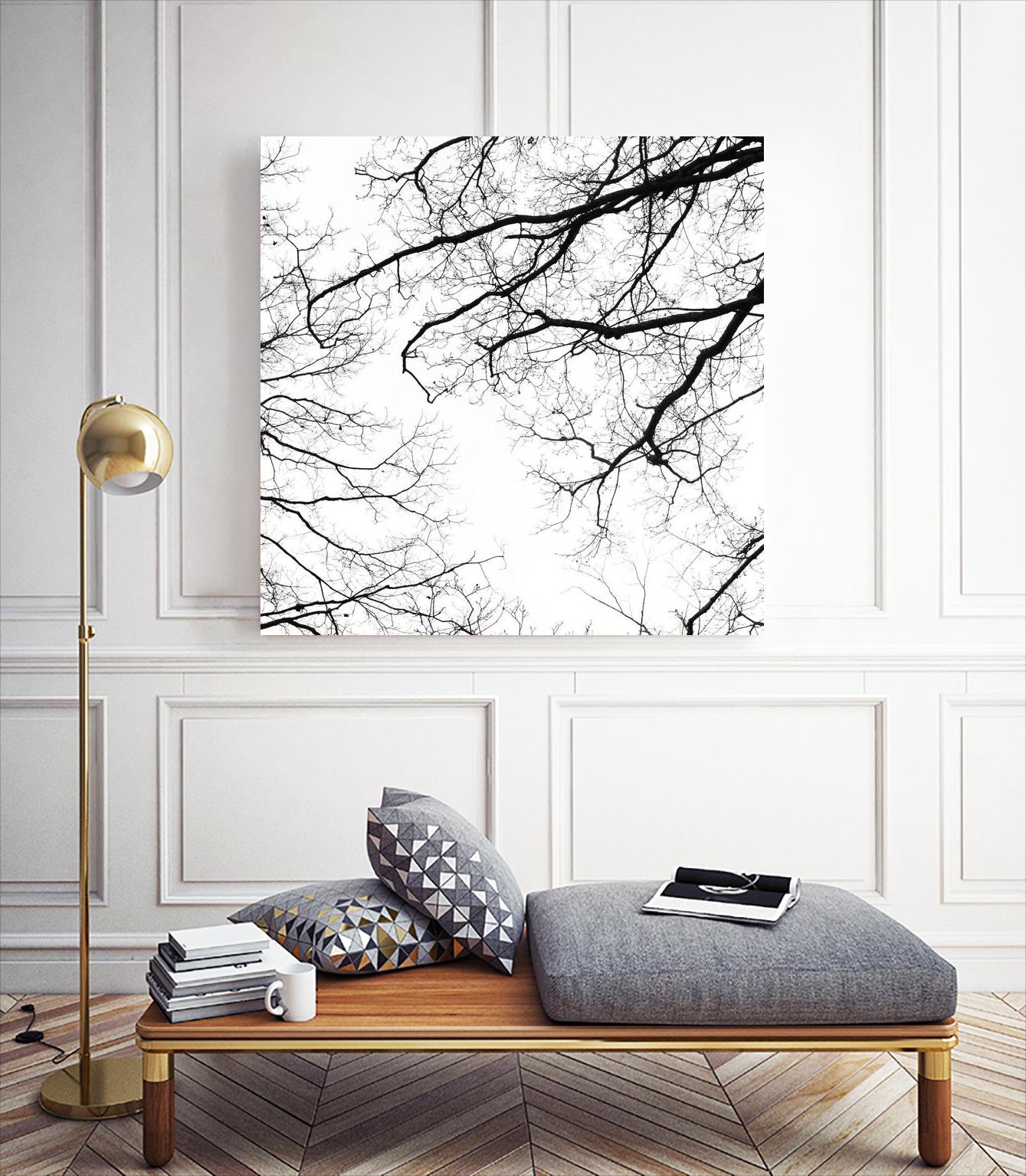 Billows II by Judy Stalus on GIANT ART - black trees