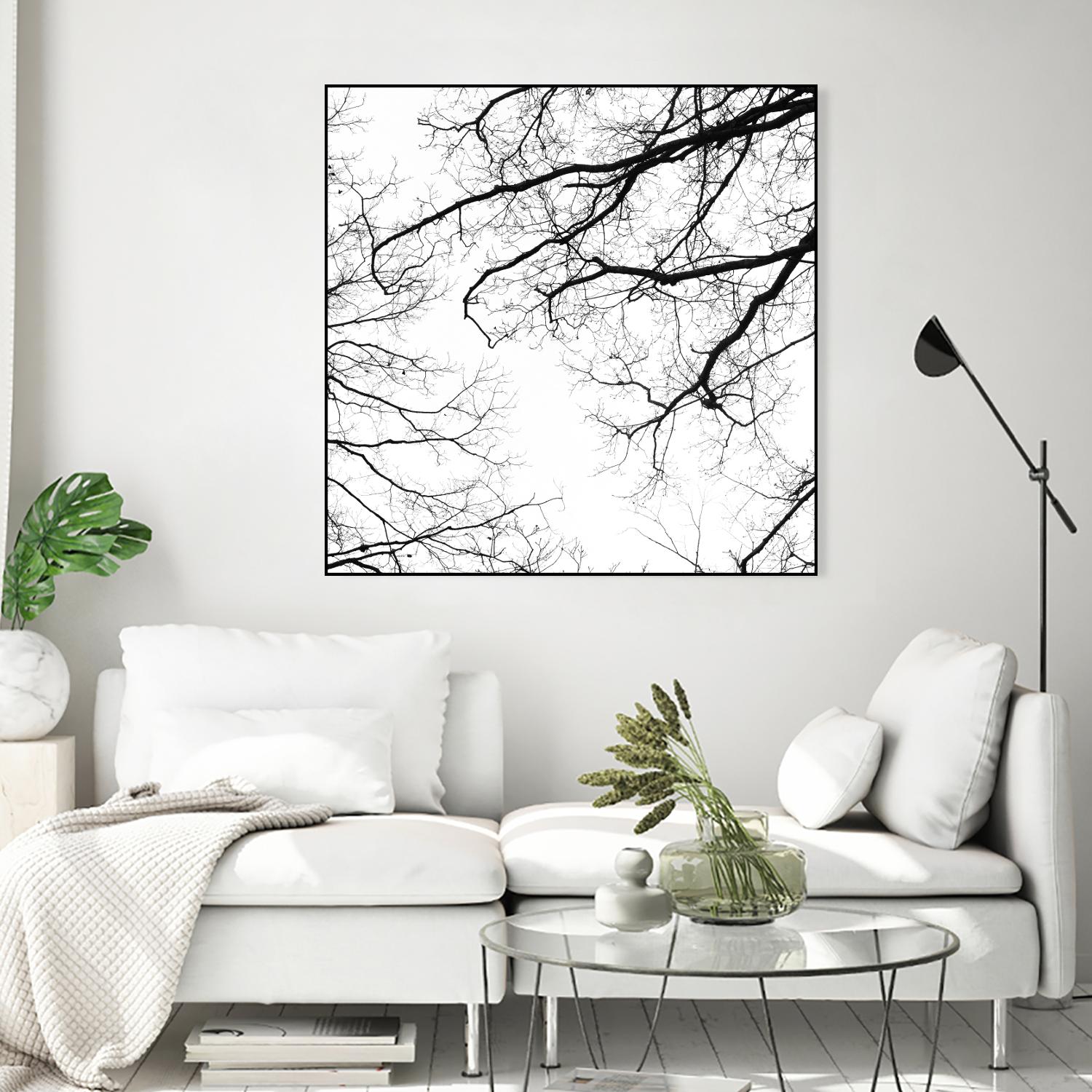 Billows II by Judy Stalus on GIANT ART - black trees