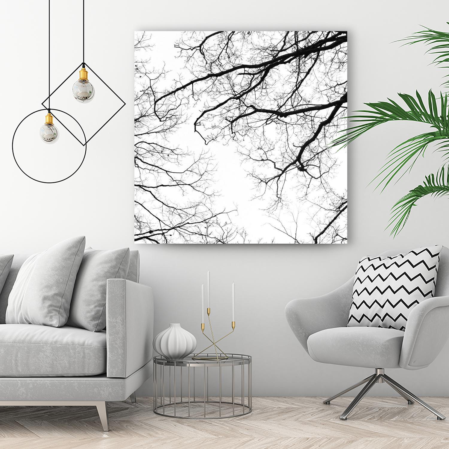 Billows II by Judy Stalus on GIANT ART - black trees