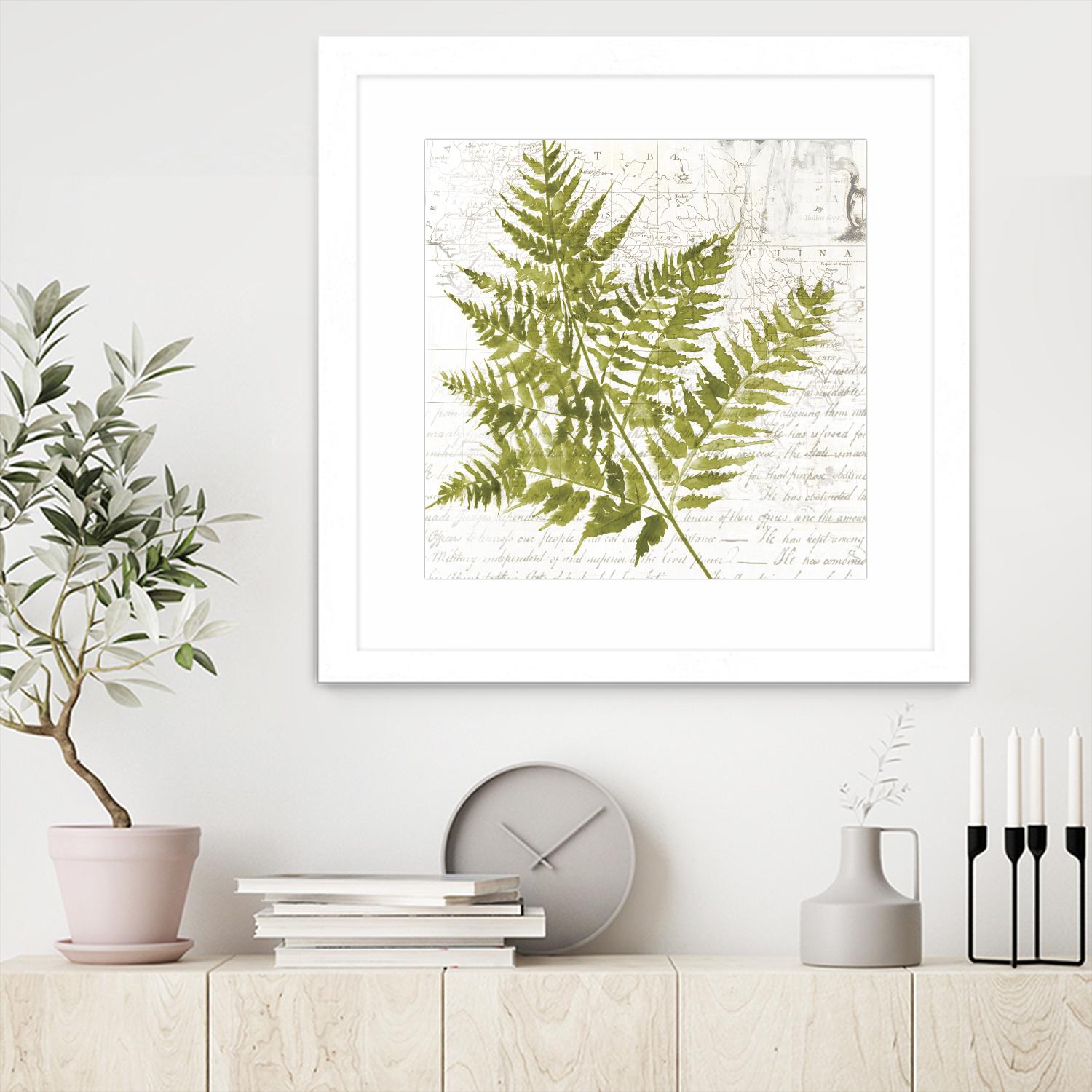 Fern I by Asia Jensen on GIANT ART - green botany