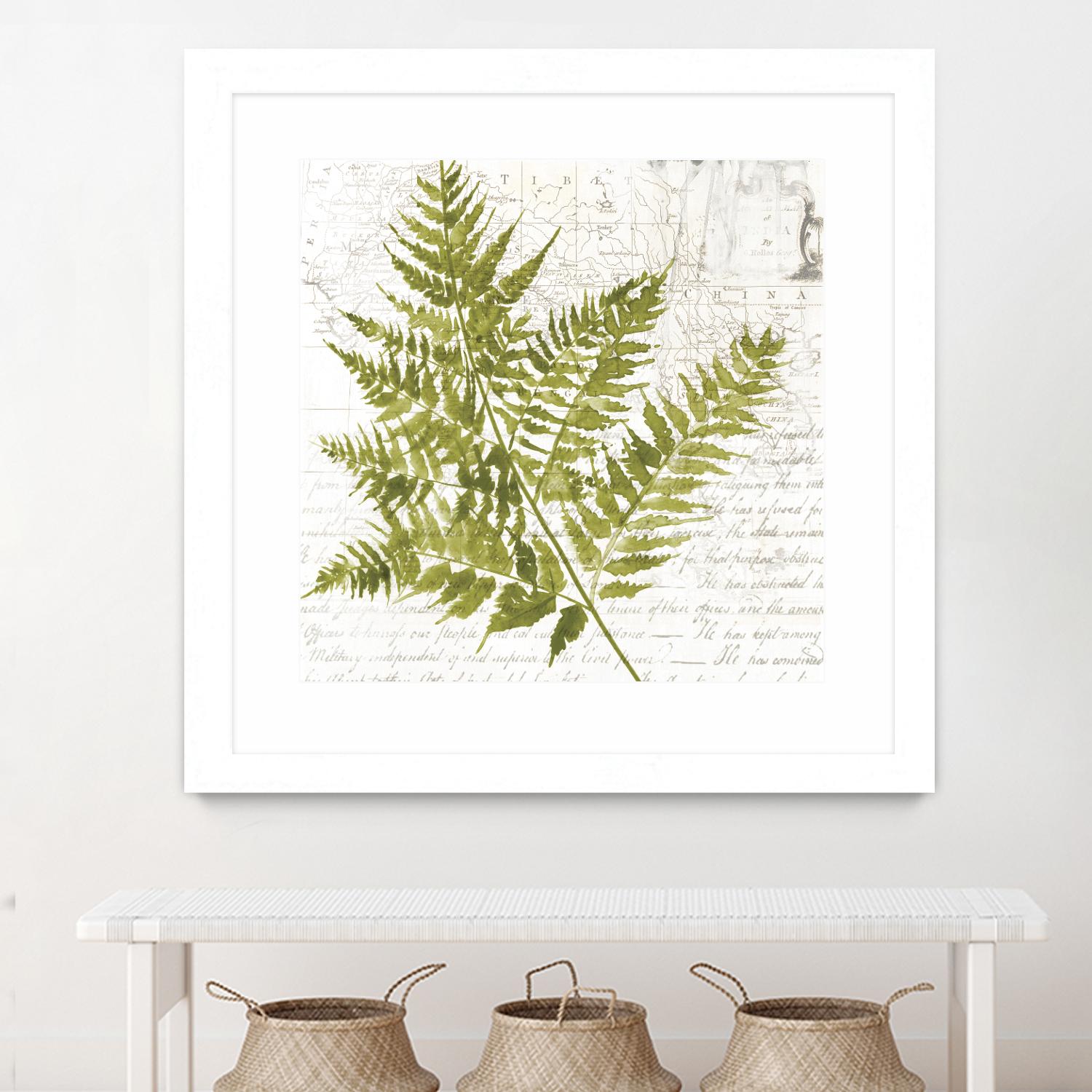 Fern I by Asia Jensen on GIANT ART - green botany