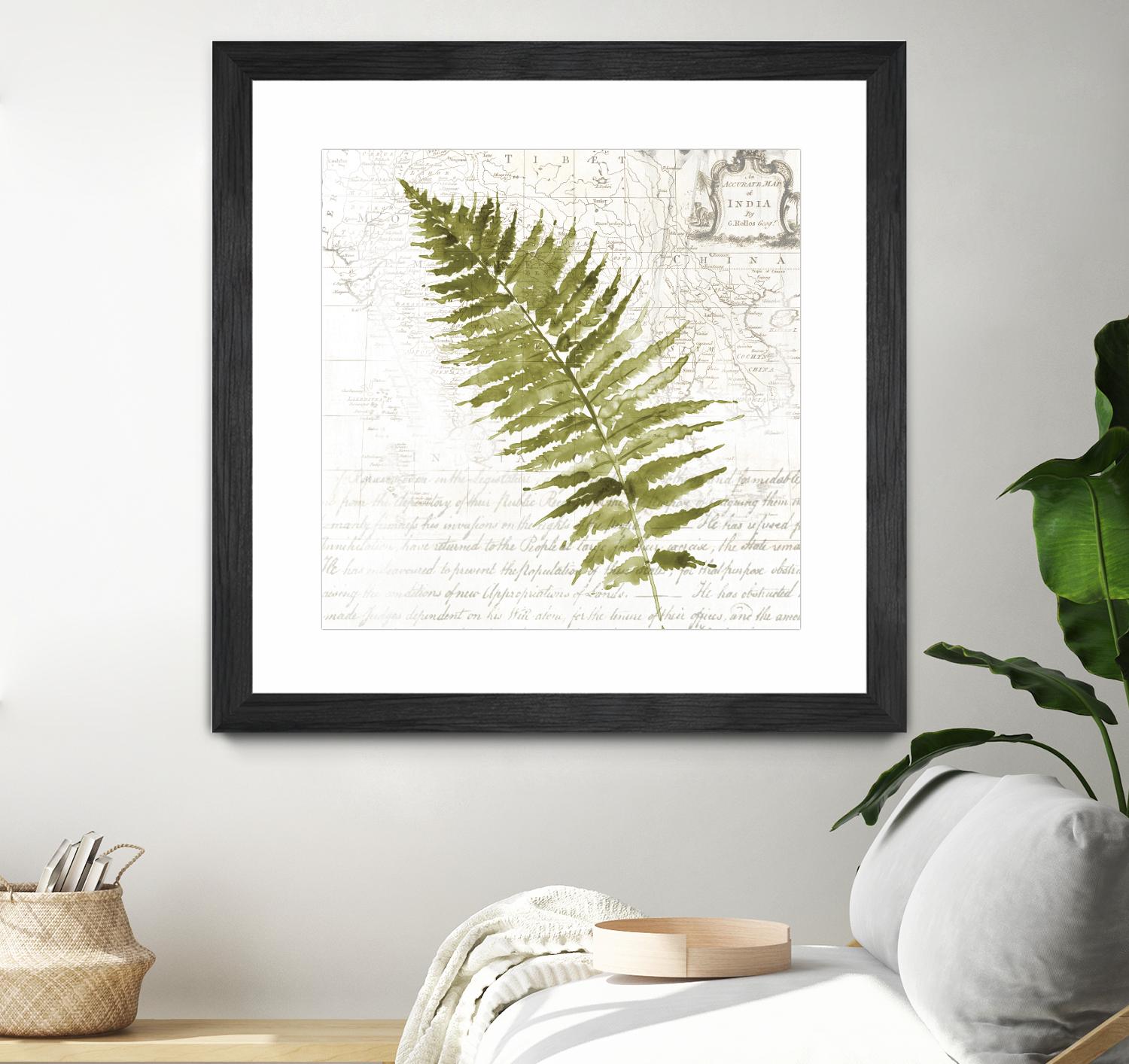 Fern II by Asia Jensen on GIANT ART - green botany