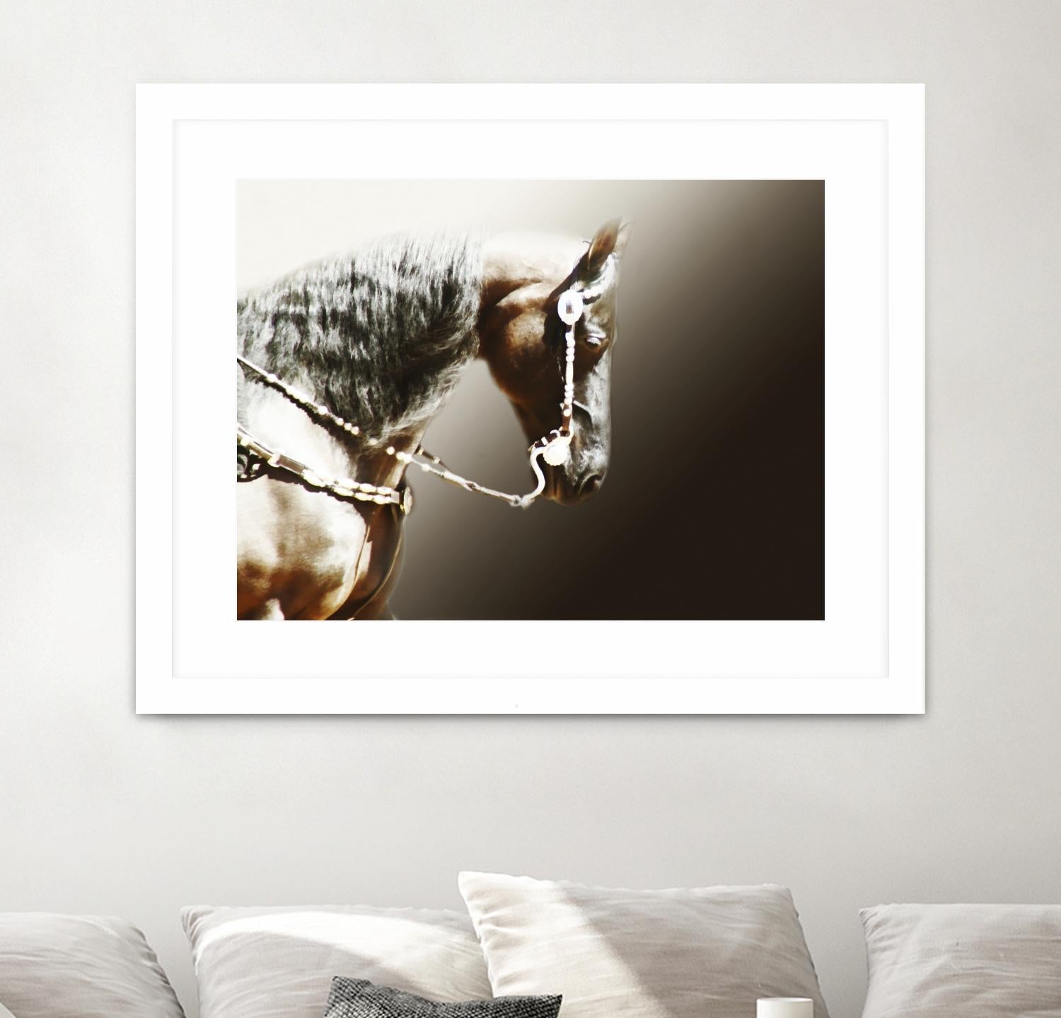 Black and Silver by Kari Brooks on GIANT ART - brown animals