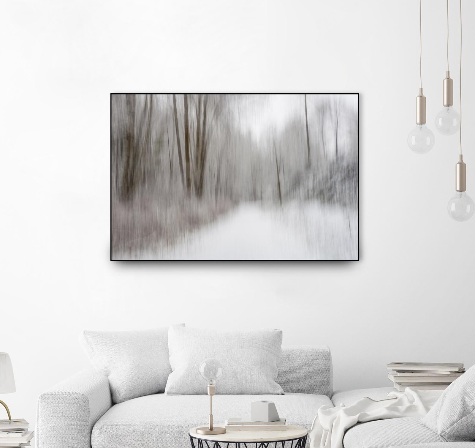 Foggy Lichen II by Norm Stelfox on GIANT ART - brown trees