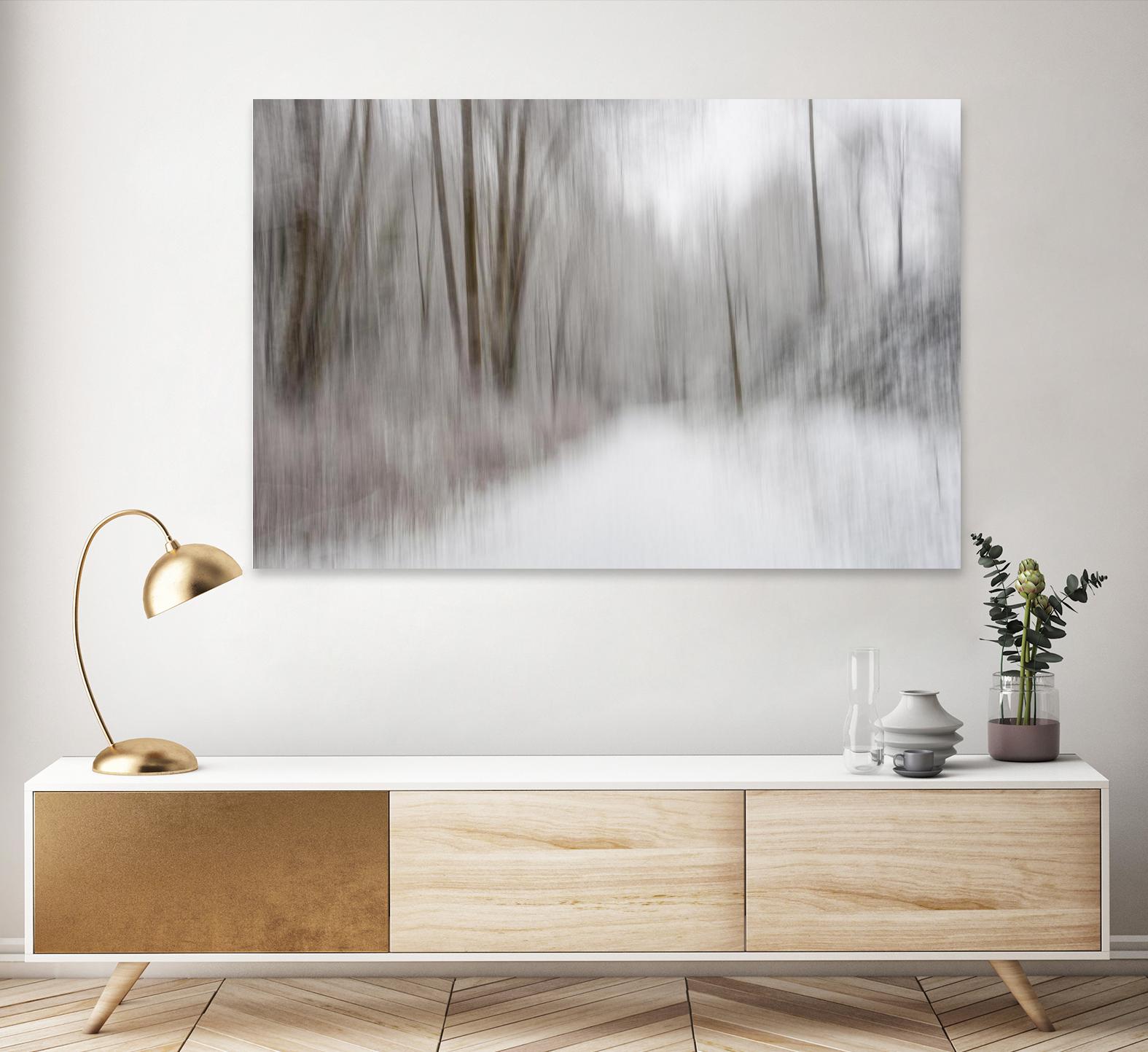 Foggy Lichen II by Norm Stelfox on GIANT ART - brown trees