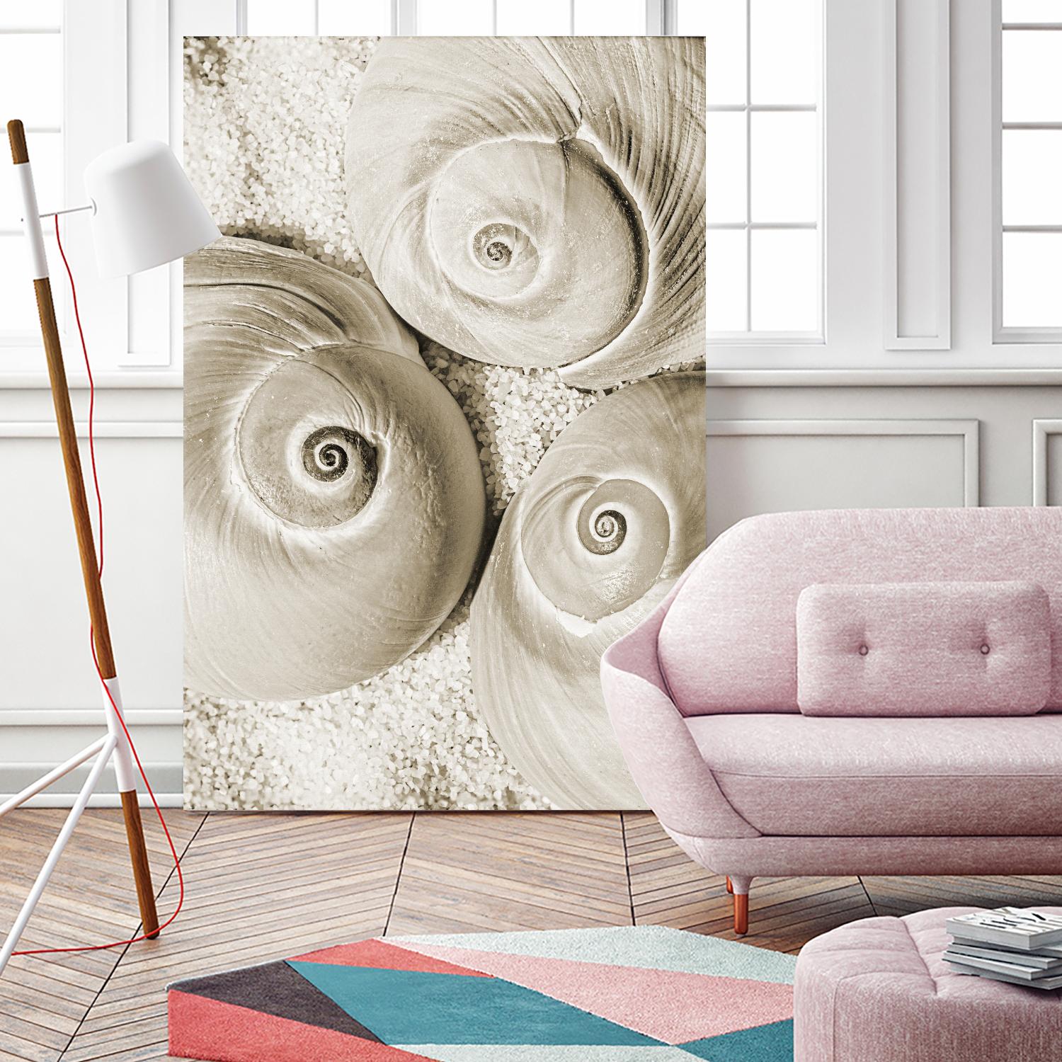 Sea Shell II by Norm Stelfox on GIANT ART - grey nautical