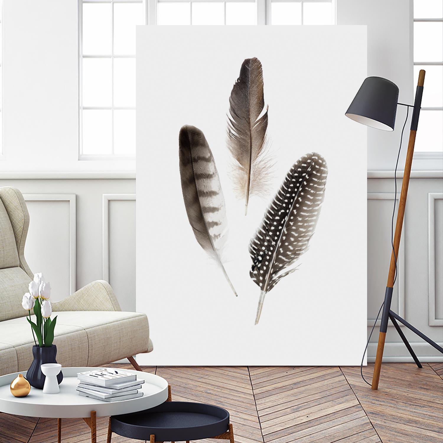Feathers I by PI Studio on GIANT ART - brown animals