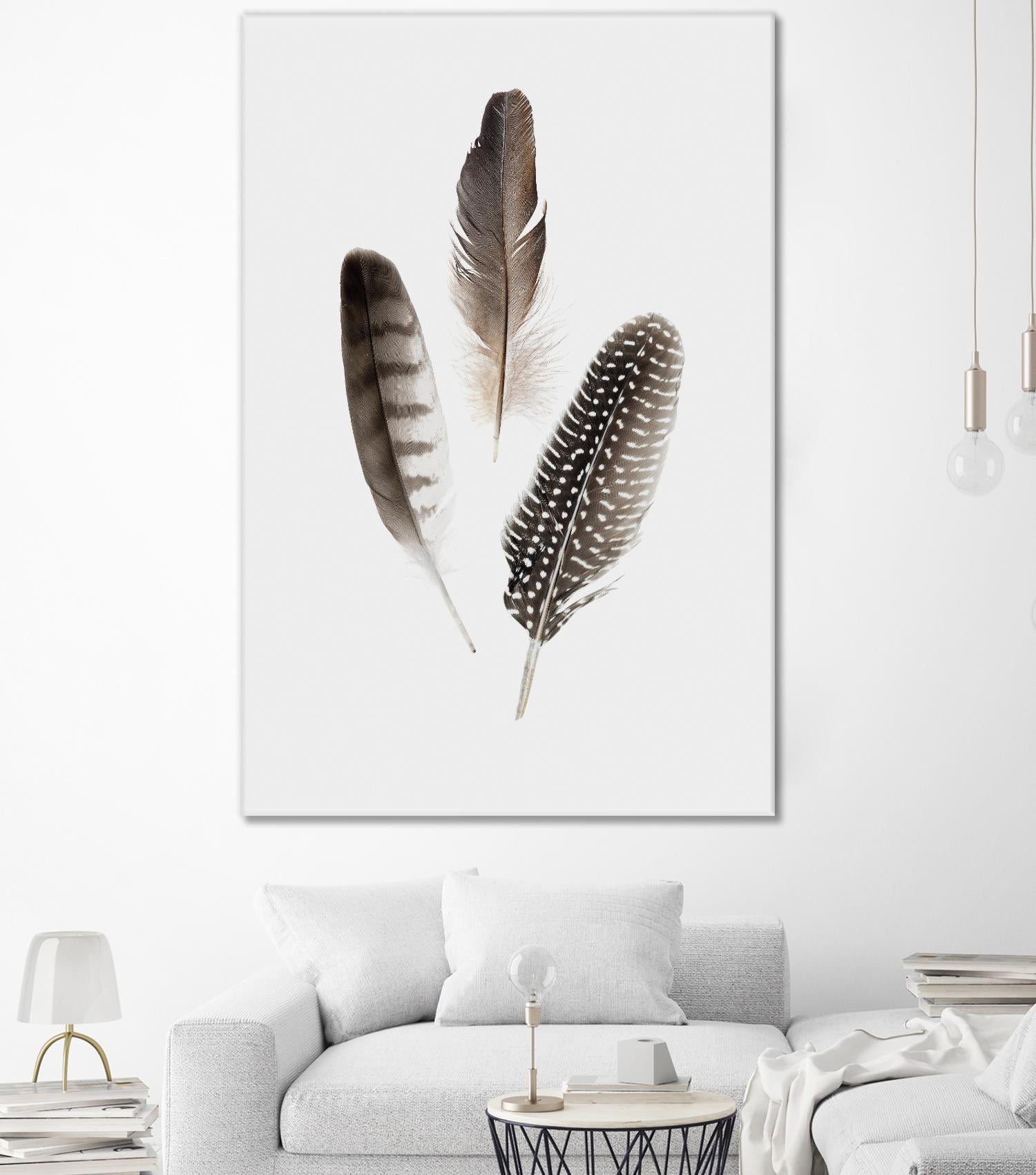 Feathers I by PI Studio on GIANT ART - brown animals