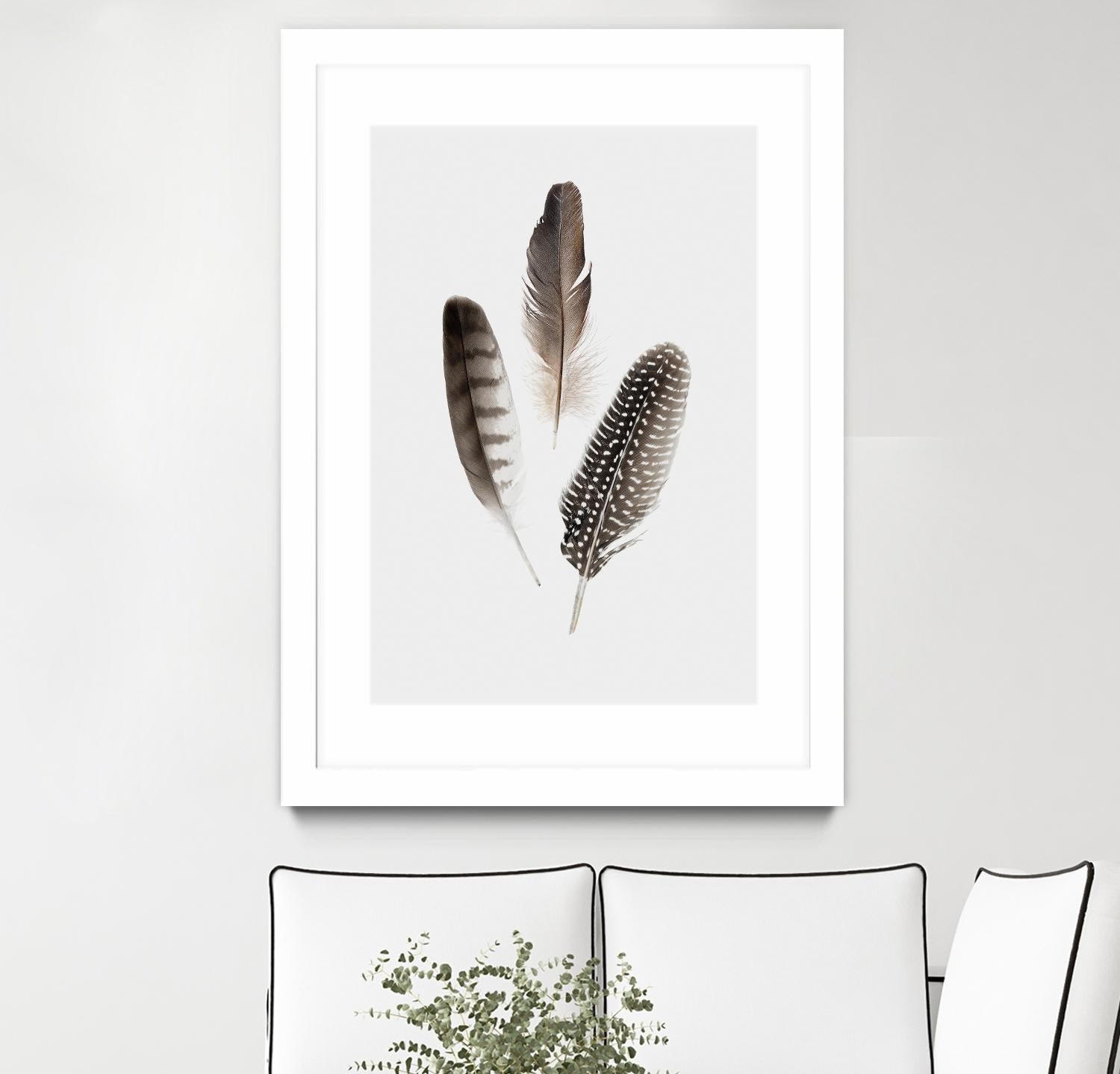 Feathers I by PI Studio on GIANT ART - brown animals