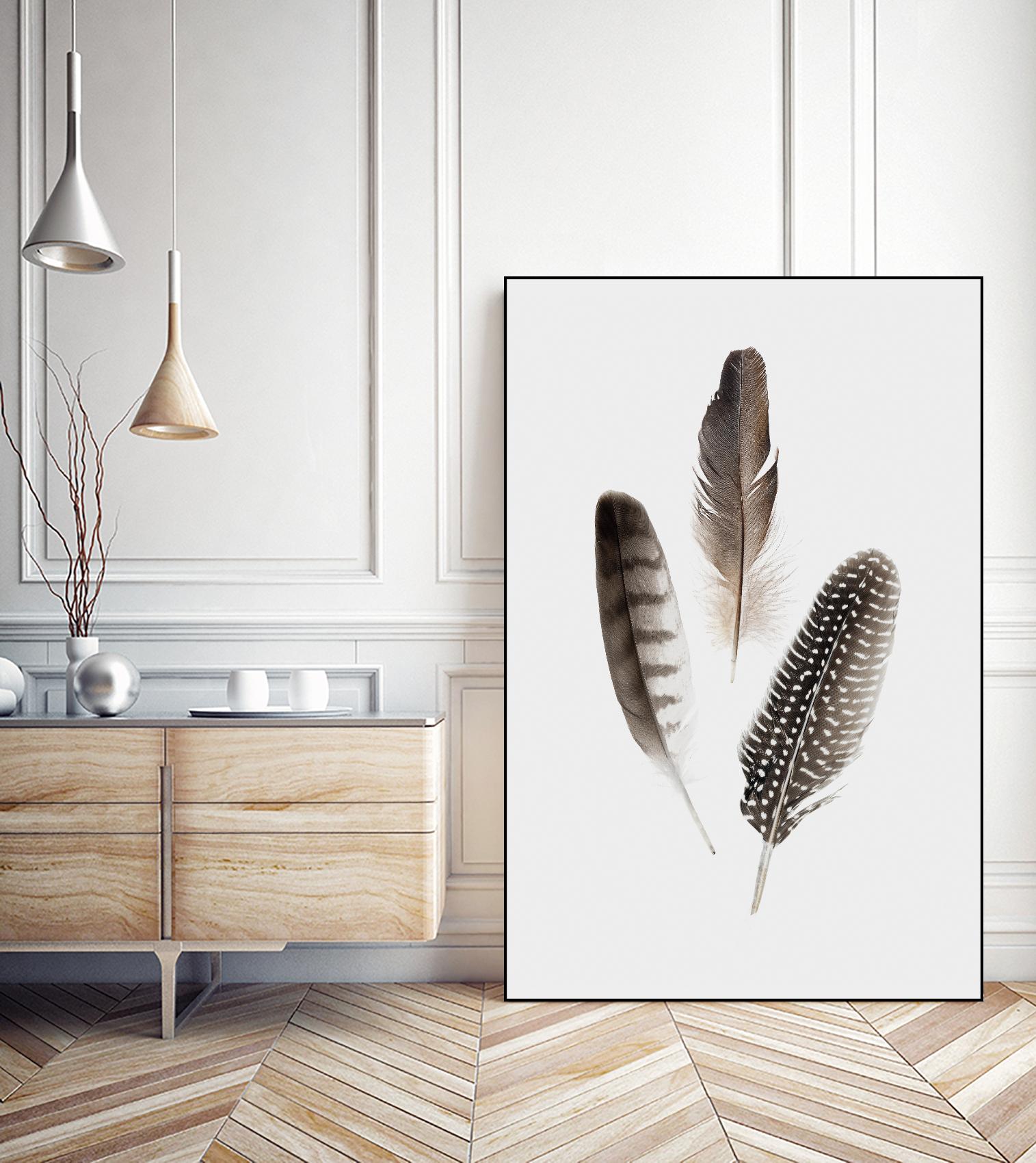Feathers I by PI Studio on GIANT ART - brown animals