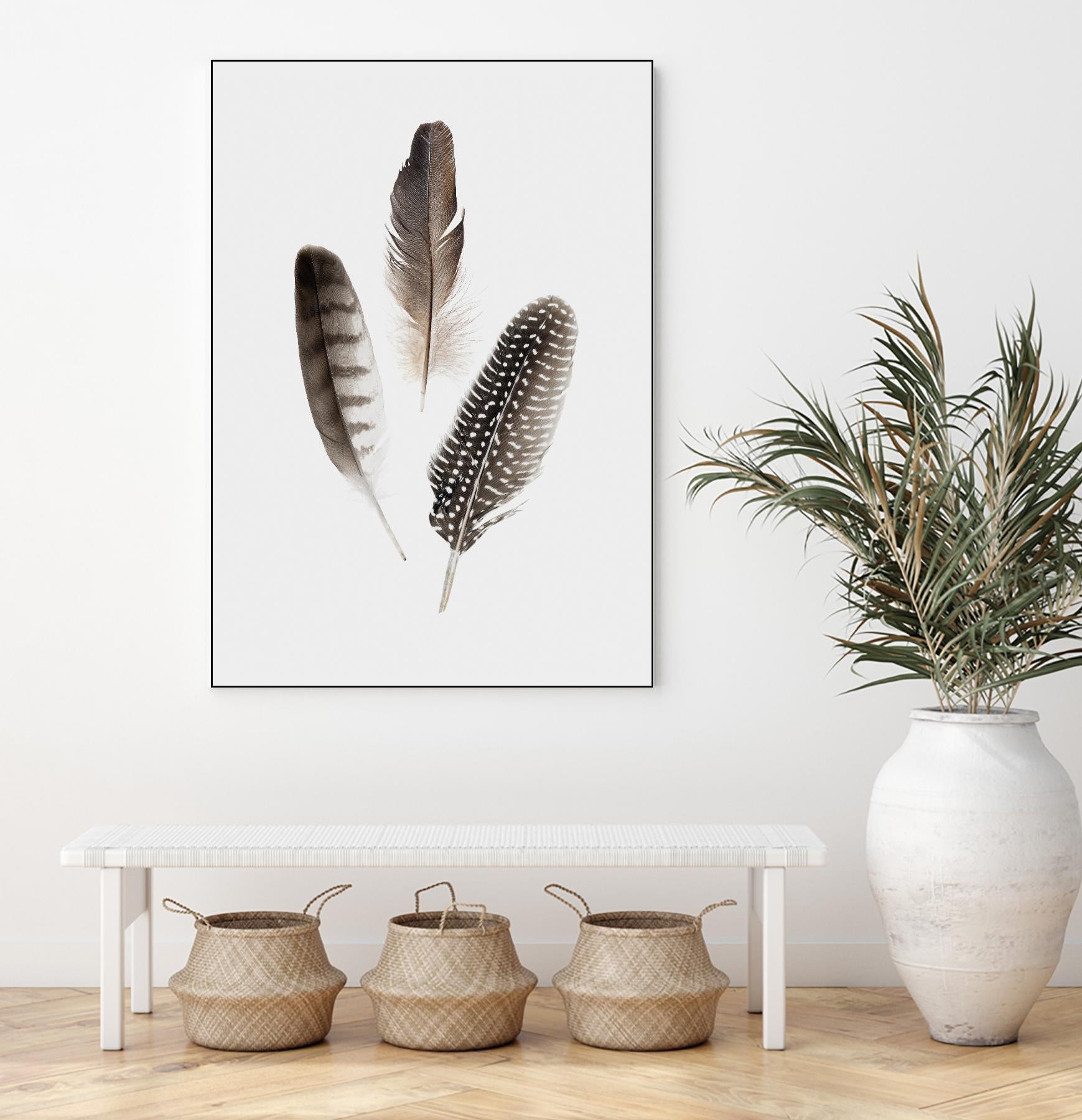 Feathers I by PI Studio on GIANT ART - brown animals