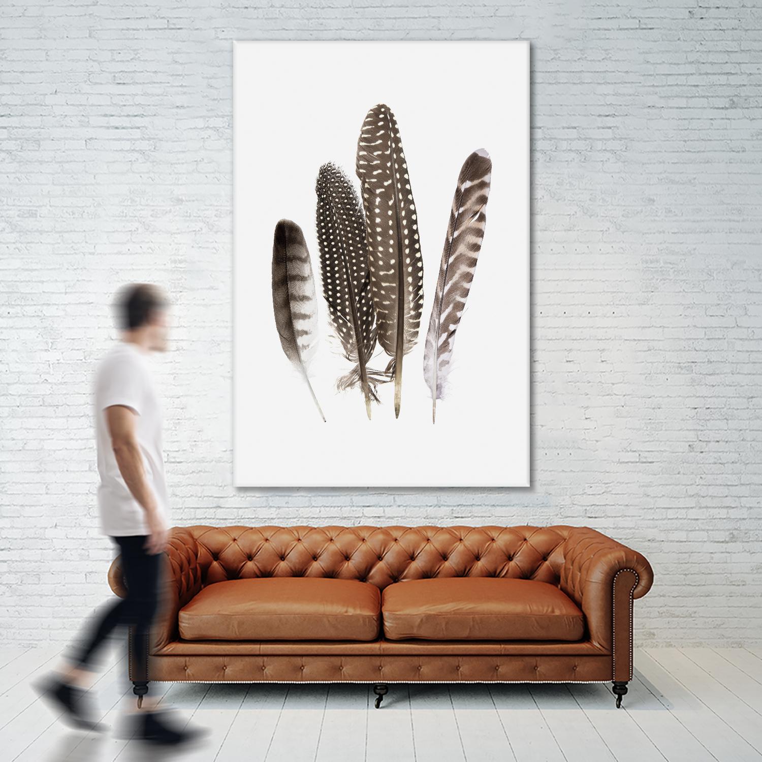 Feathers II by PI Studio on GIANT ART - brown animals