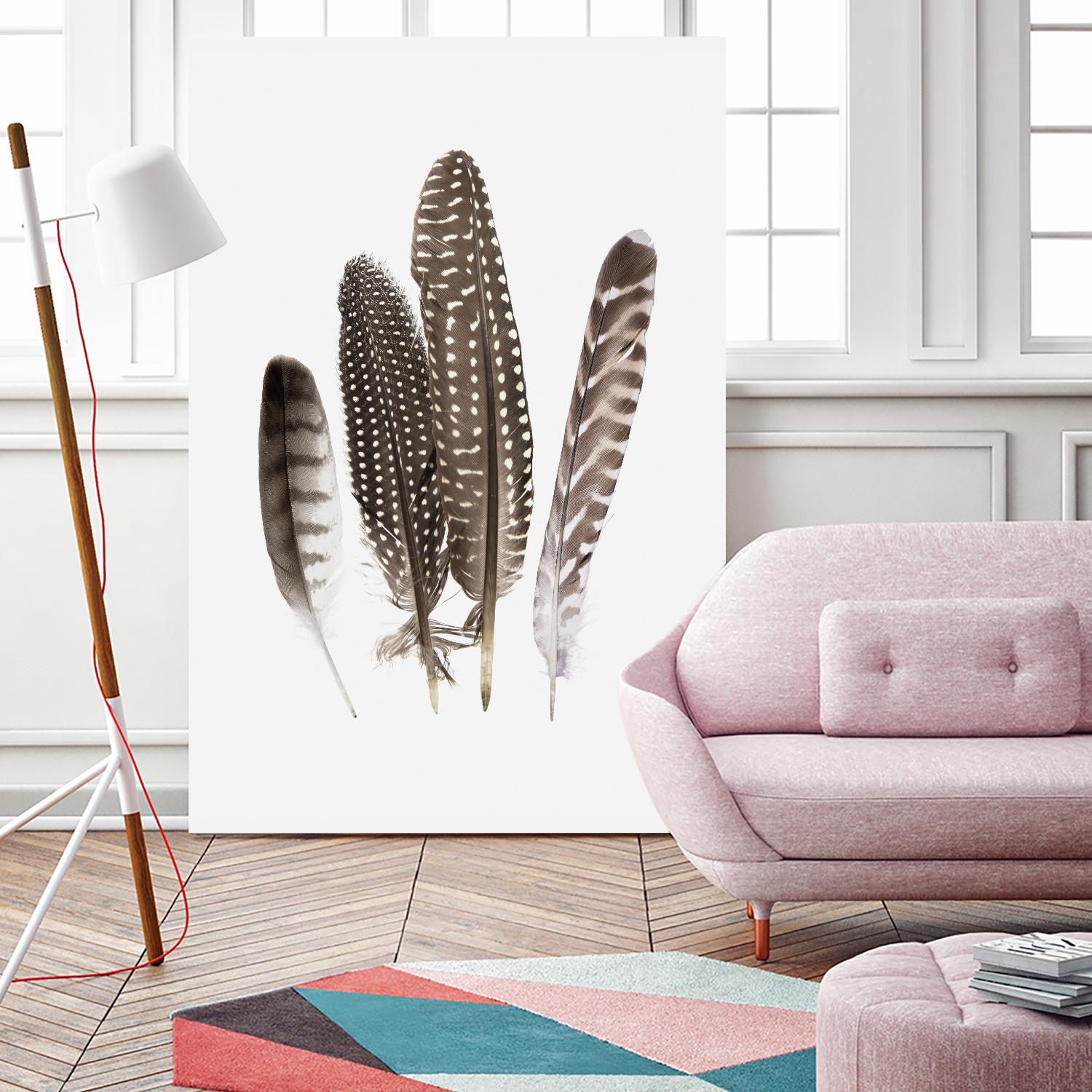 Feathers II by PI Studio on GIANT ART - brown animals