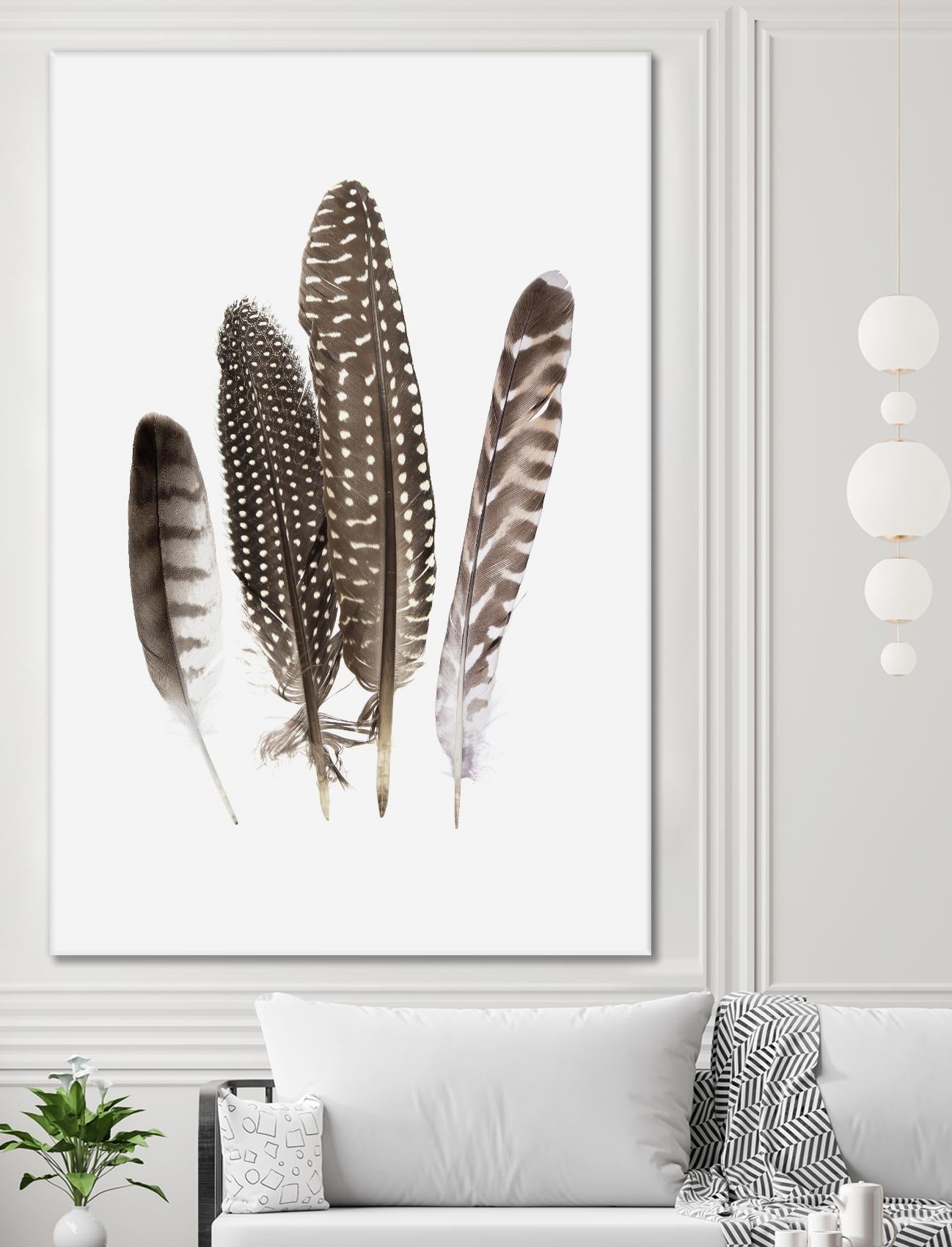 Feathers II by PI Studio on GIANT ART - brown animals