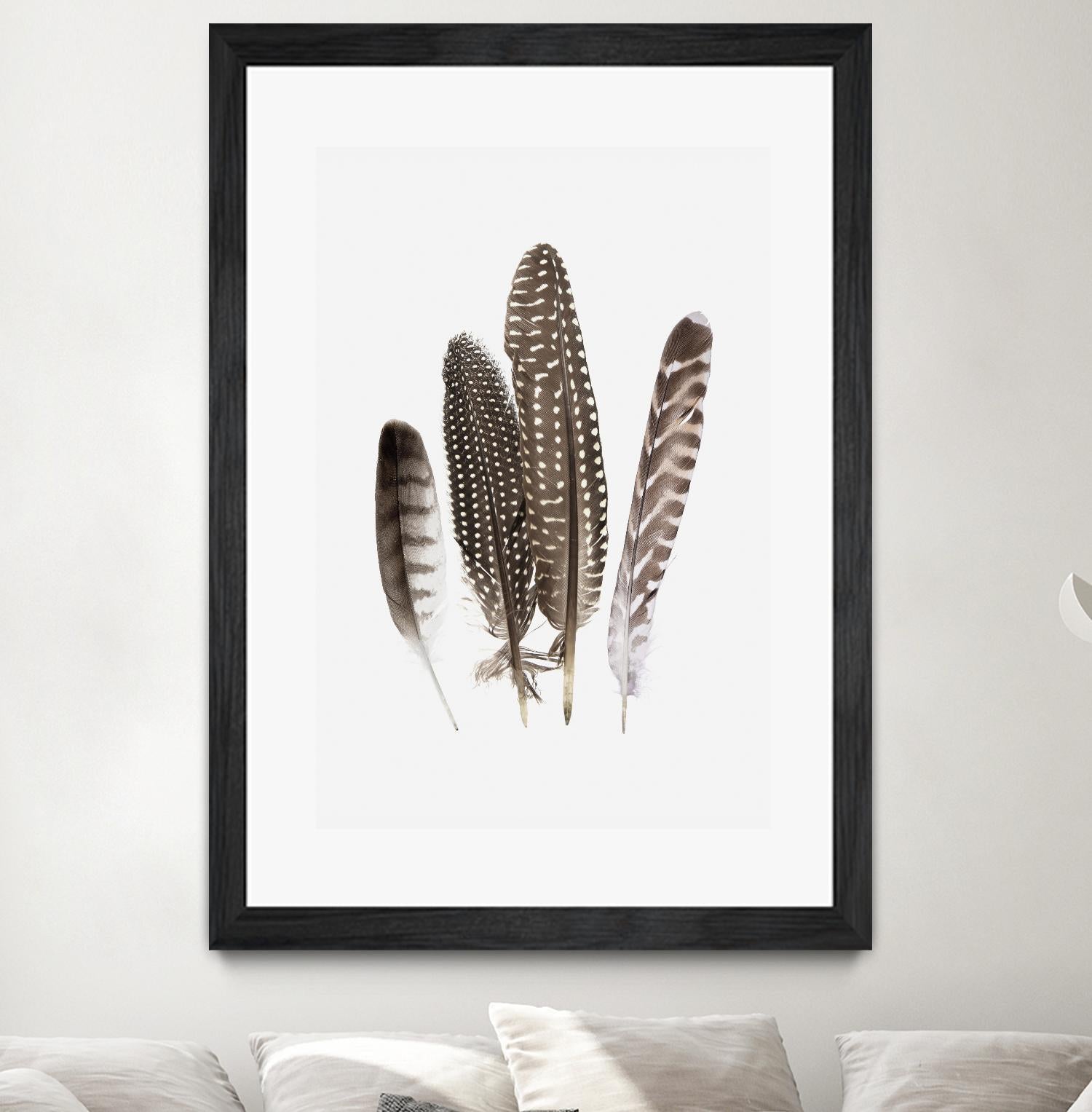 Feathers II by PI Studio on GIANT ART - brown animals