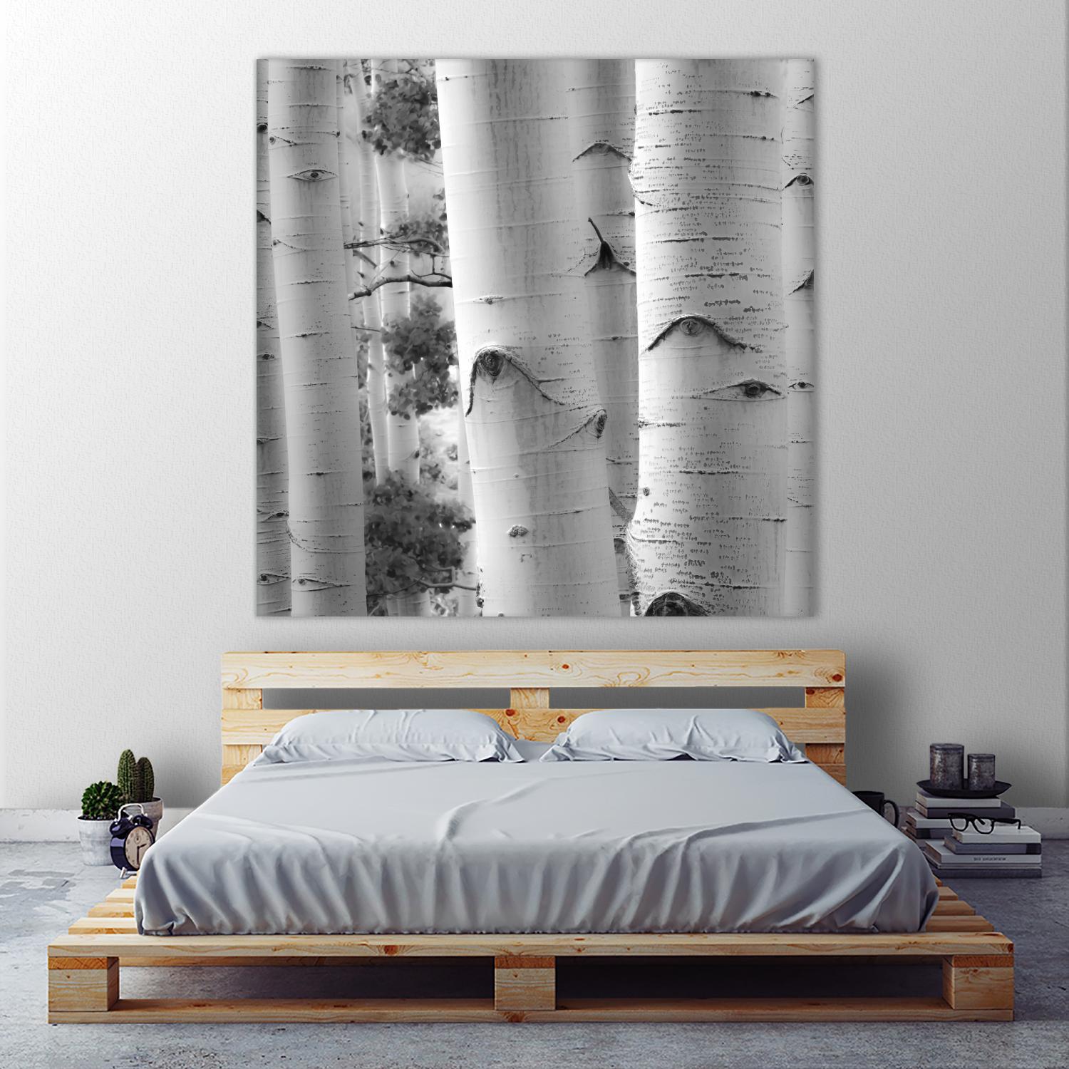 Birches in Grey I by Rick Cotter on GIANT ART - black trees