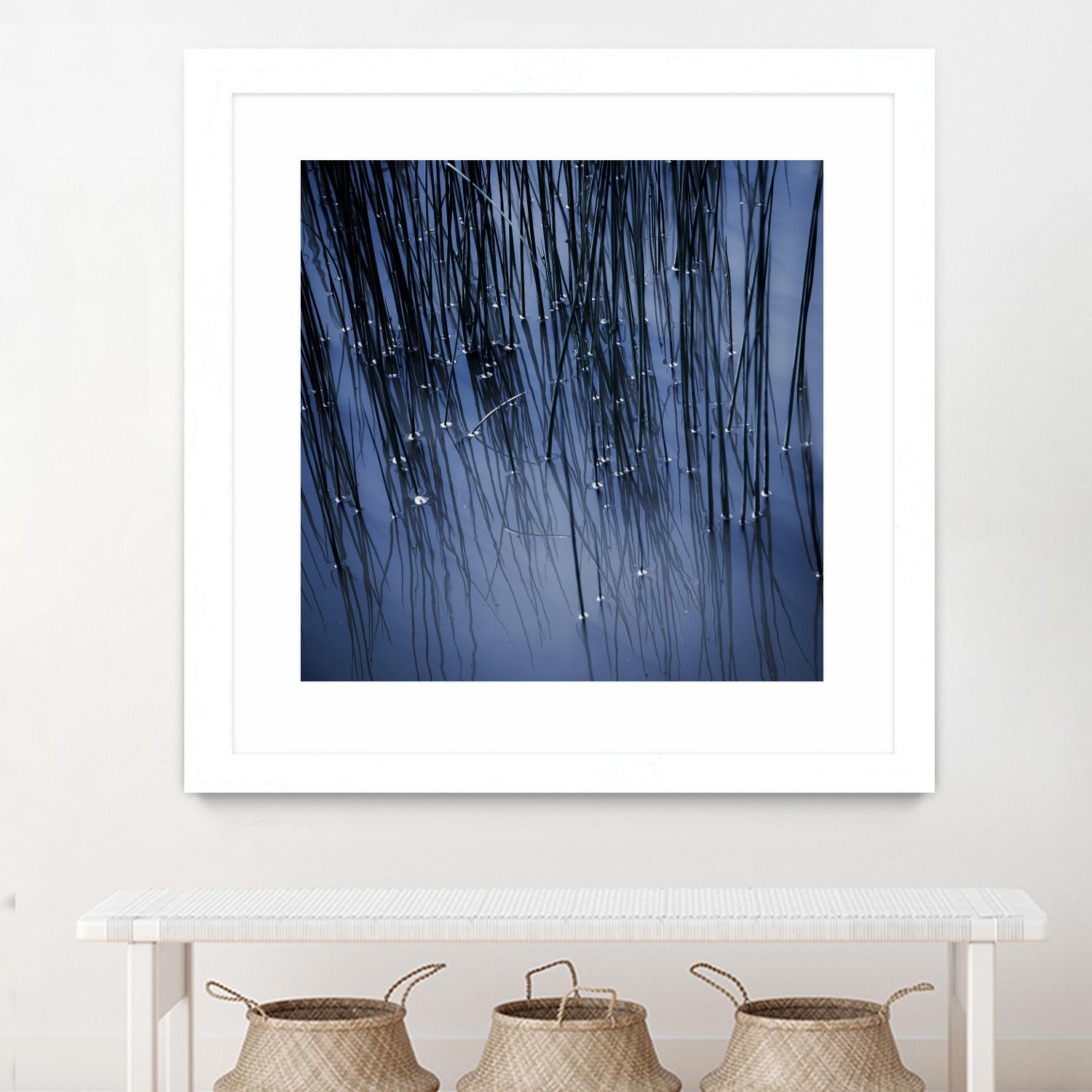 Lily Pond Blue III by Rebecca Cozart on GIANT ART - black photo art