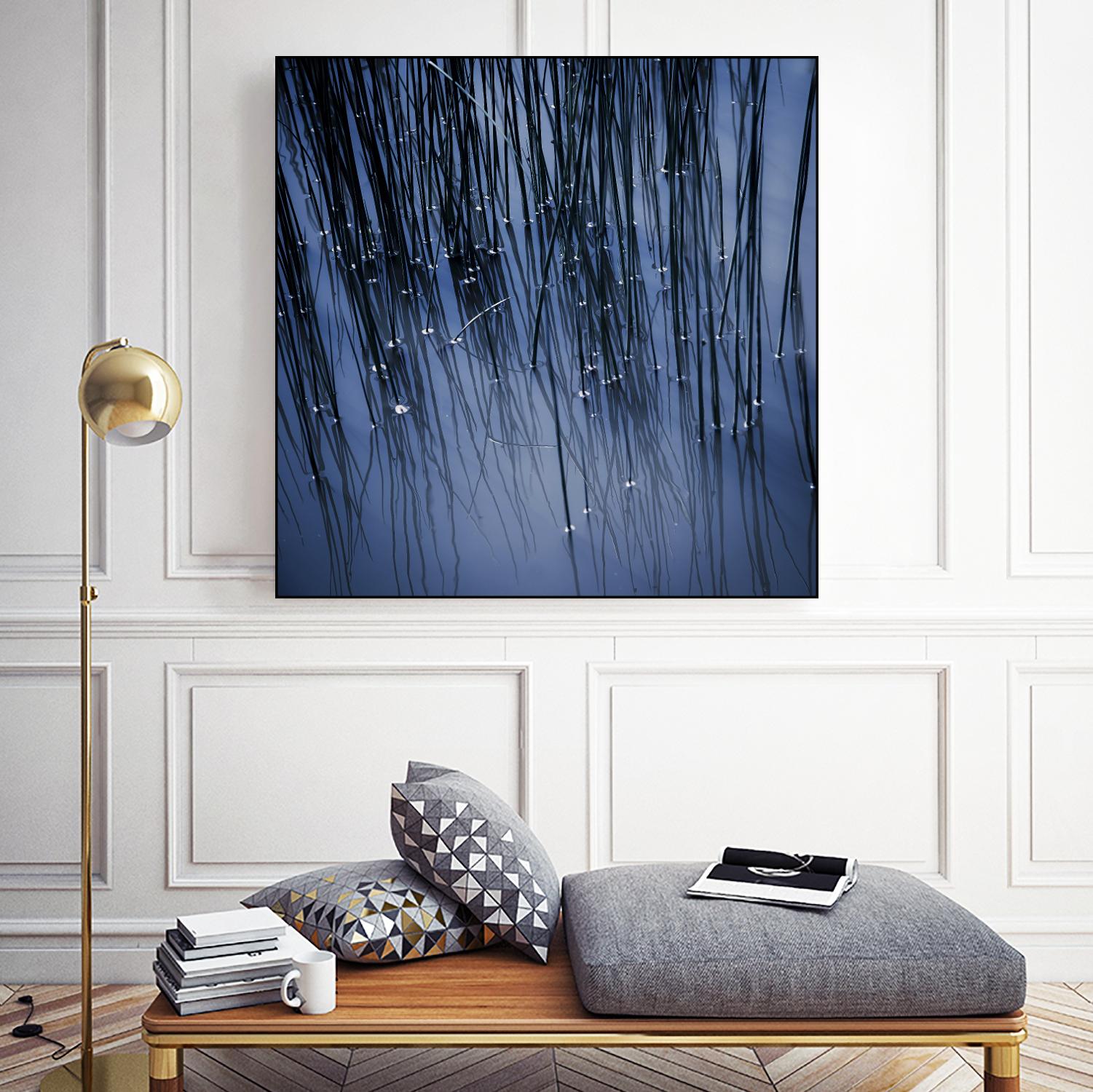 Lily Pond Blue III by Rebecca Cozart on GIANT ART - black photo art