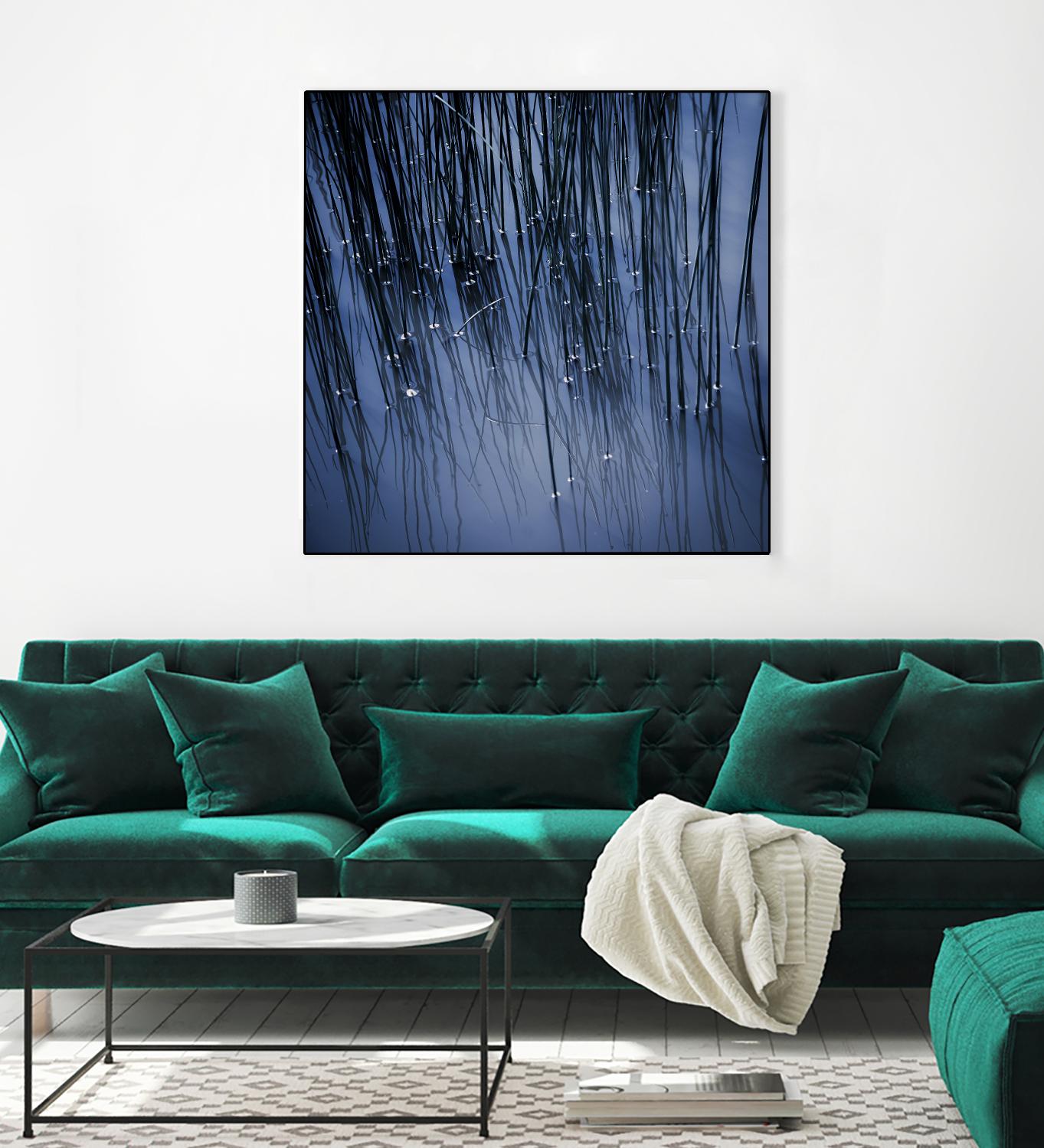Lily Pond Blue III by Rebecca Cozart on GIANT ART - black photo art