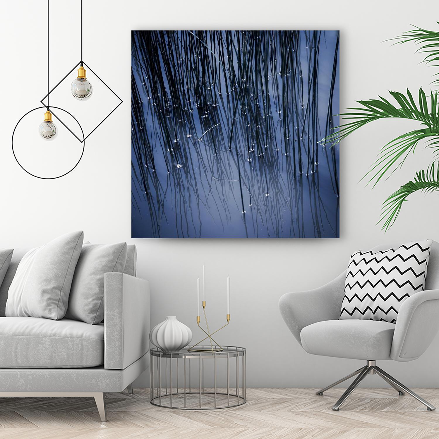 Lily Pond Blue III by Rebecca Cozart on GIANT ART - black photo art