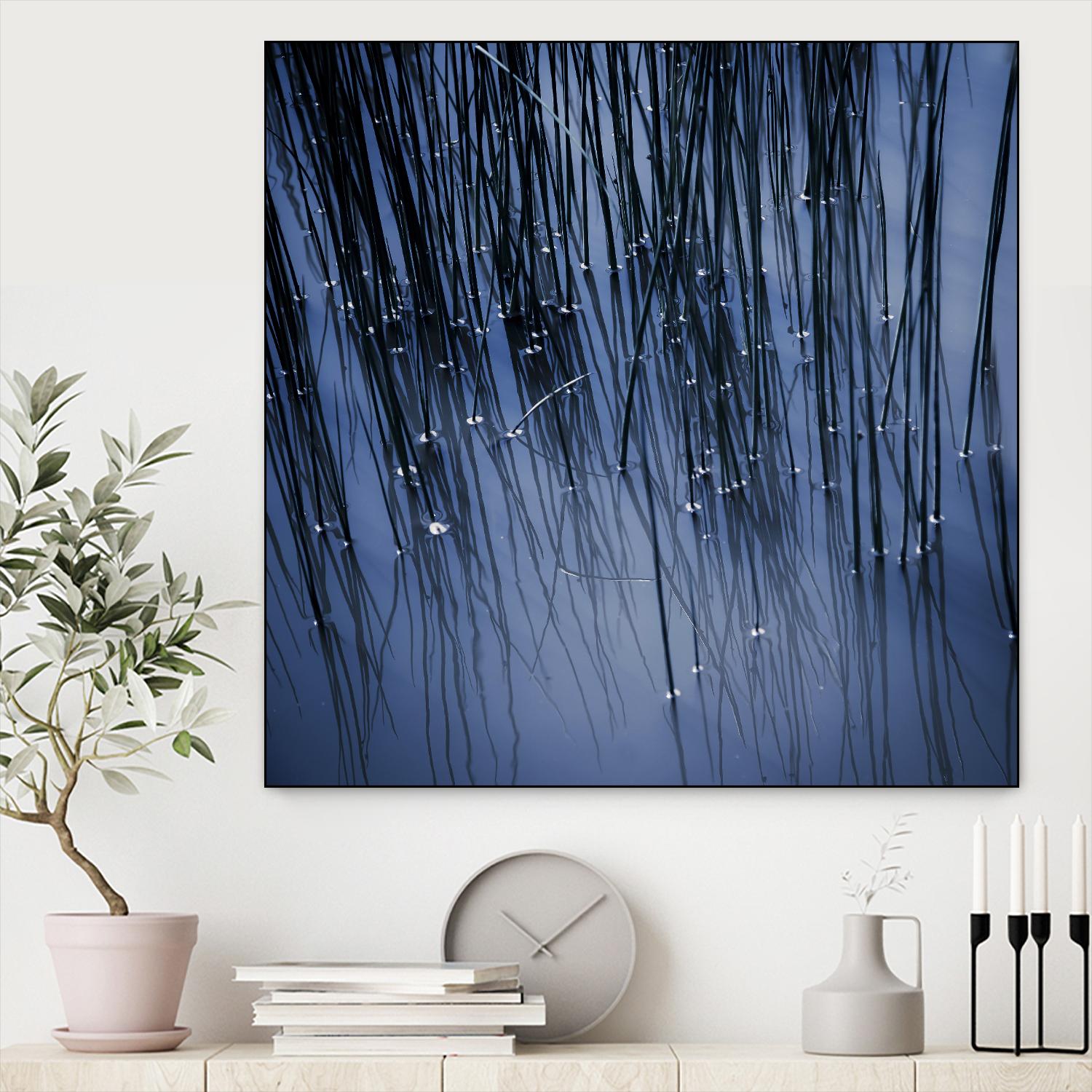 Lily Pond Blue III by Rebecca Cozart on GIANT ART - black photo art