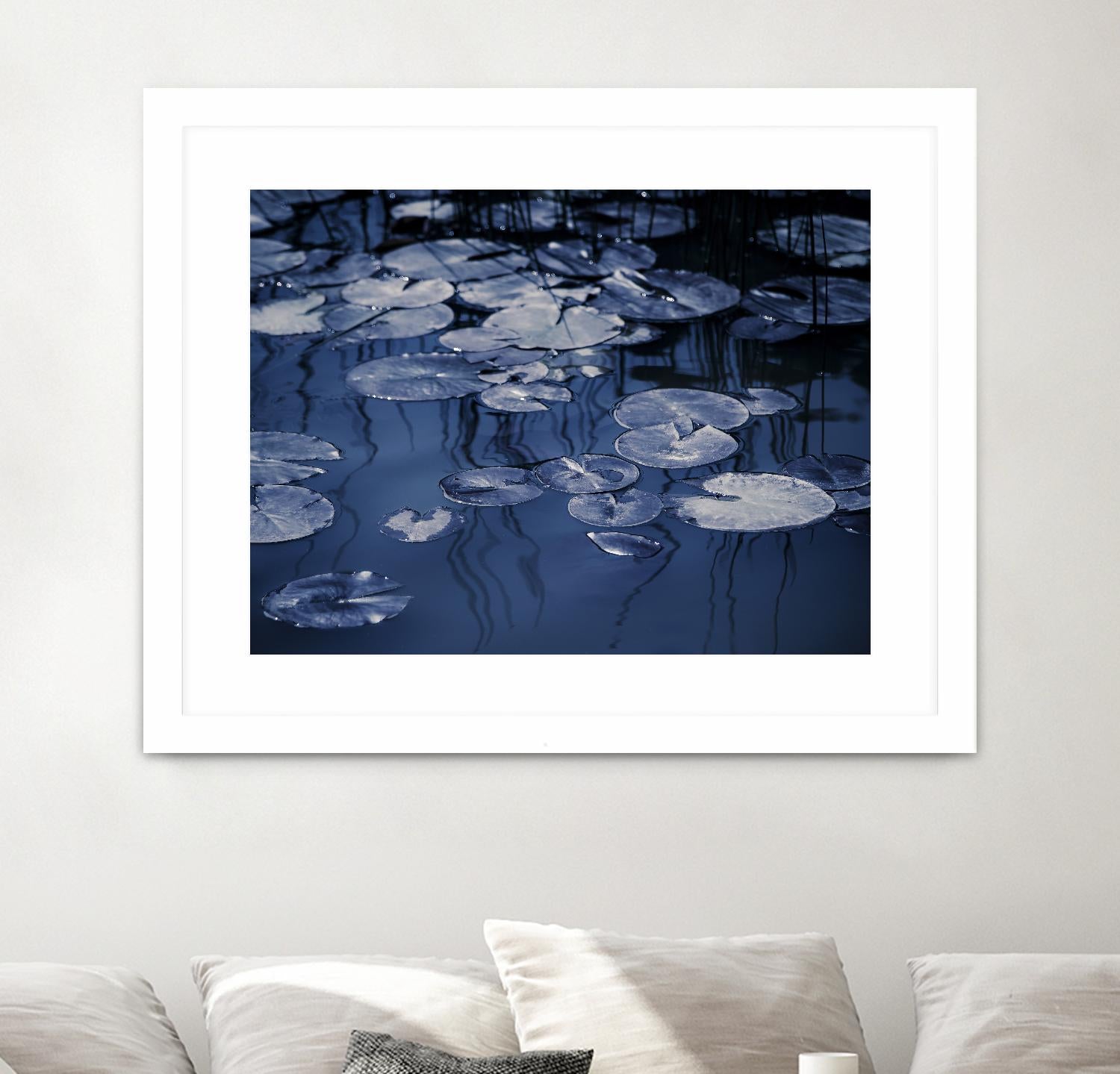 Lili Pond Blue VII by Marc Schacter on GIANT ART - grey photo art