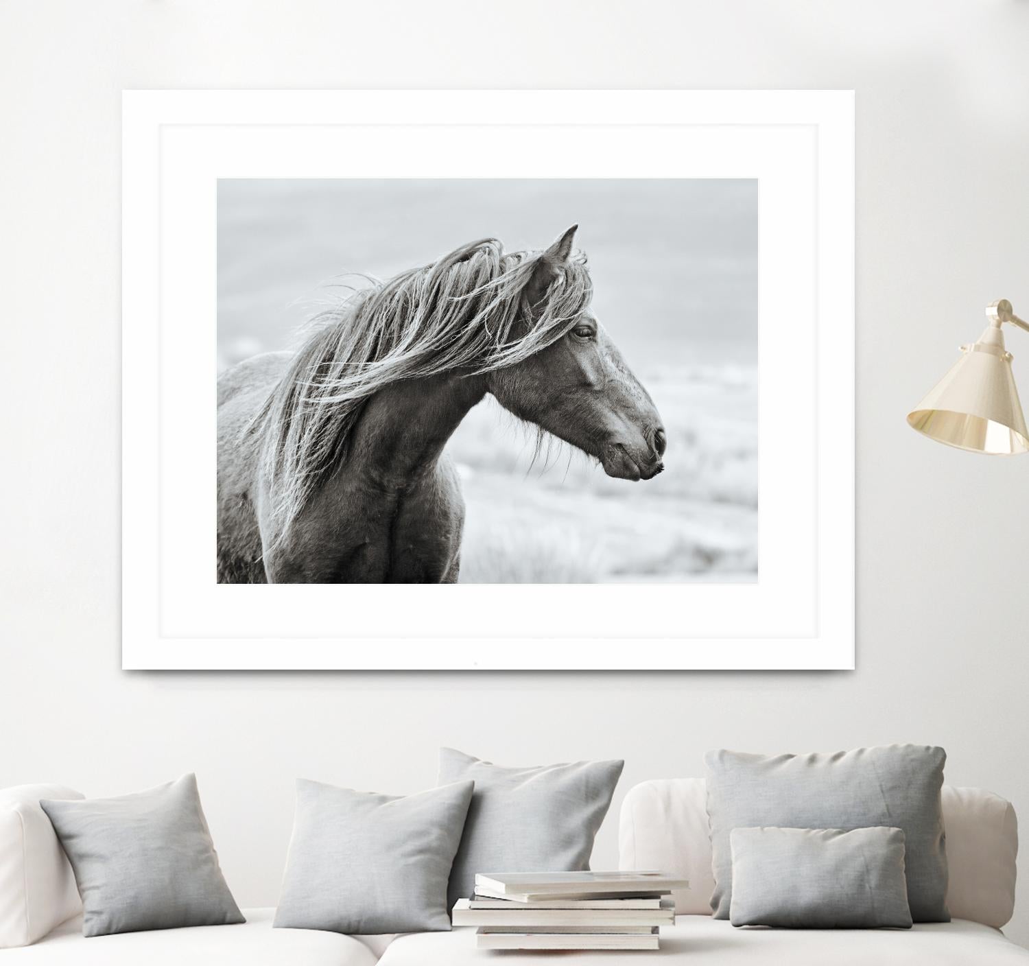 The Fell by Esther Marie on GIANT ART - white animals horse