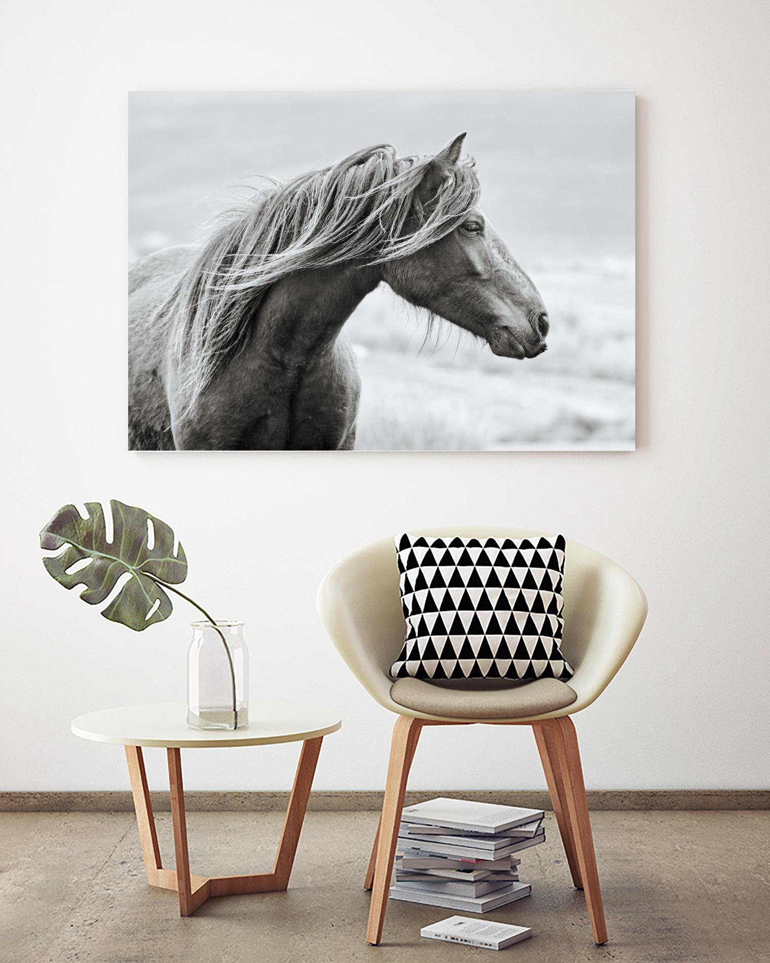 The Fell by Esther Marie on GIANT ART - white animals horse