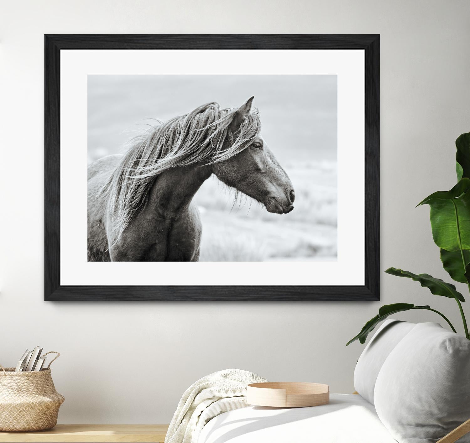 The Fell by Esther Marie on GIANT ART - white animals horse