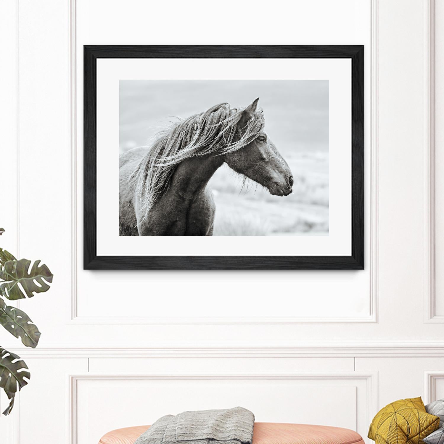 The Fell by Esther Marie on GIANT ART - white animals horse