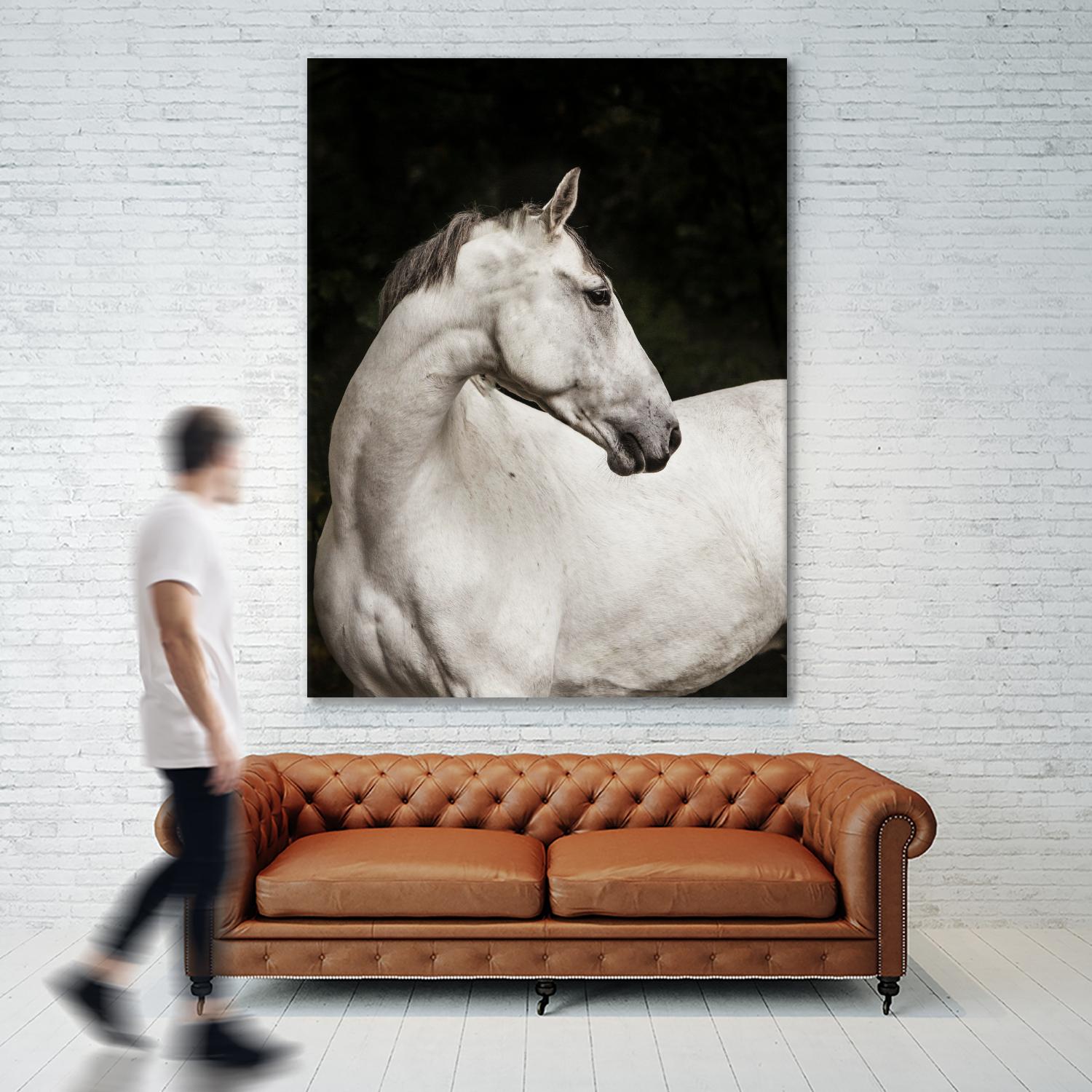 Elegant by Esther Marie on GIANT ART - white black & white horse