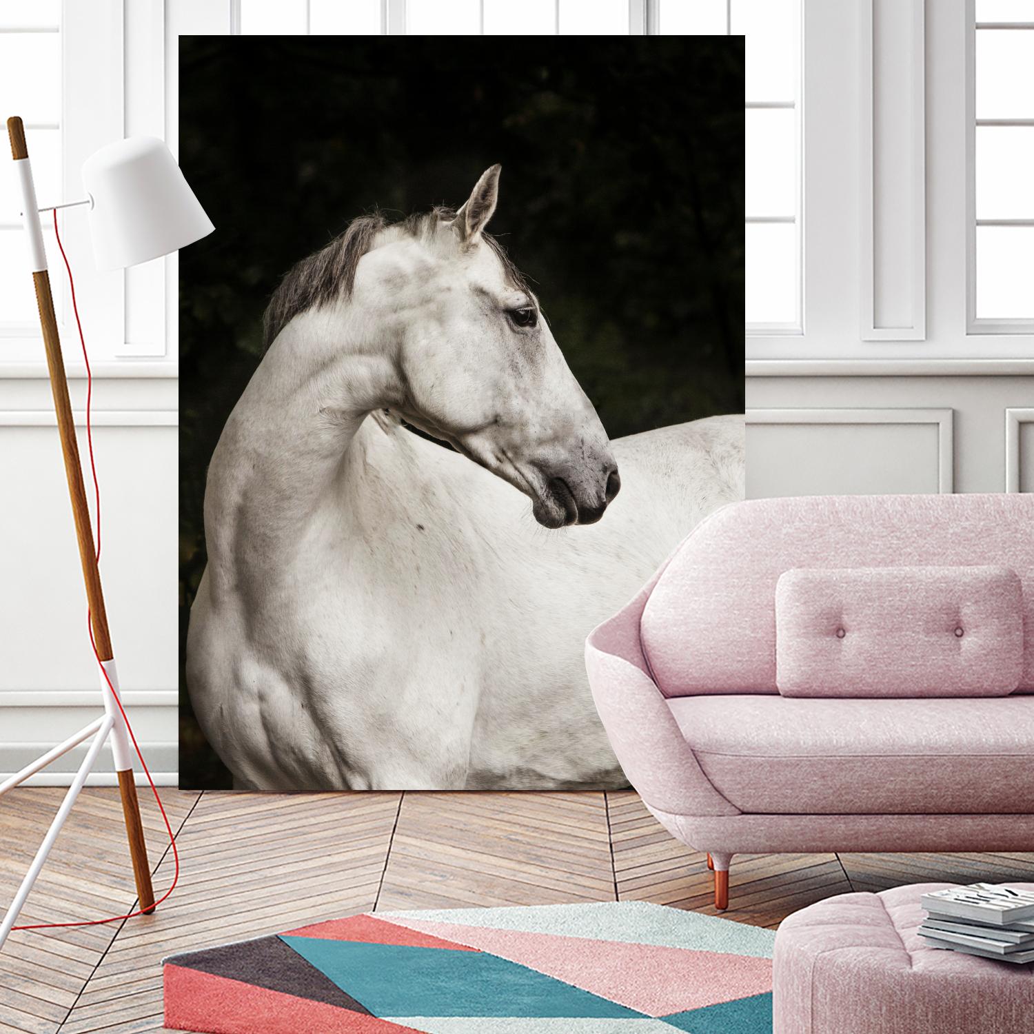 Elegant by Esther Marie on GIANT ART - white black & white horse