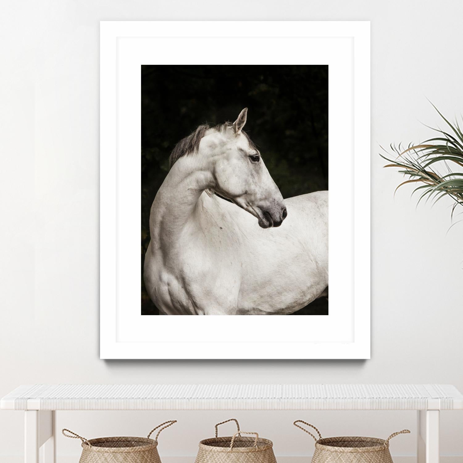 Elegant by Esther Marie on GIANT ART - white black & white horse