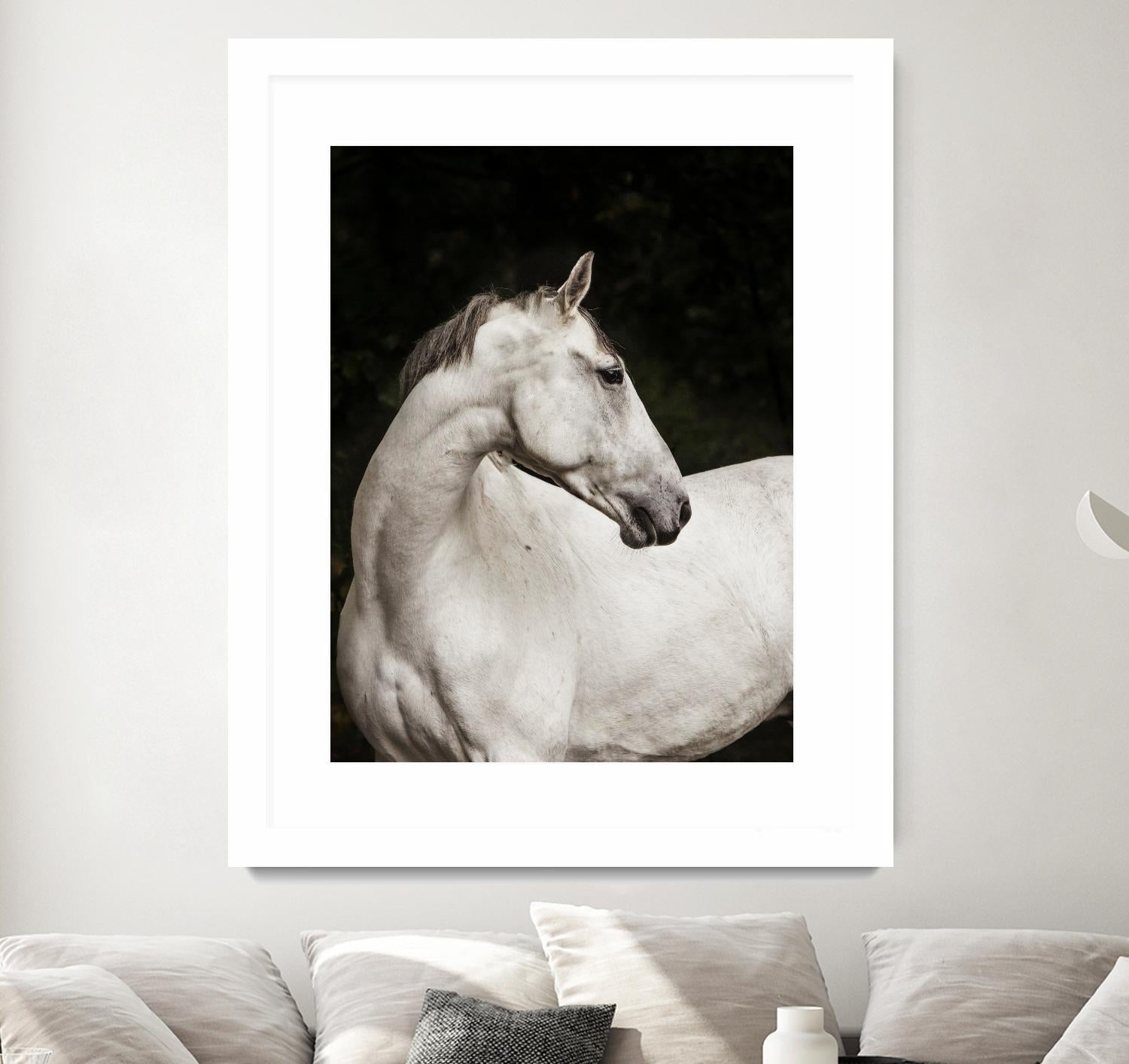 Elegant by Esther Marie on GIANT ART - white black & white horse