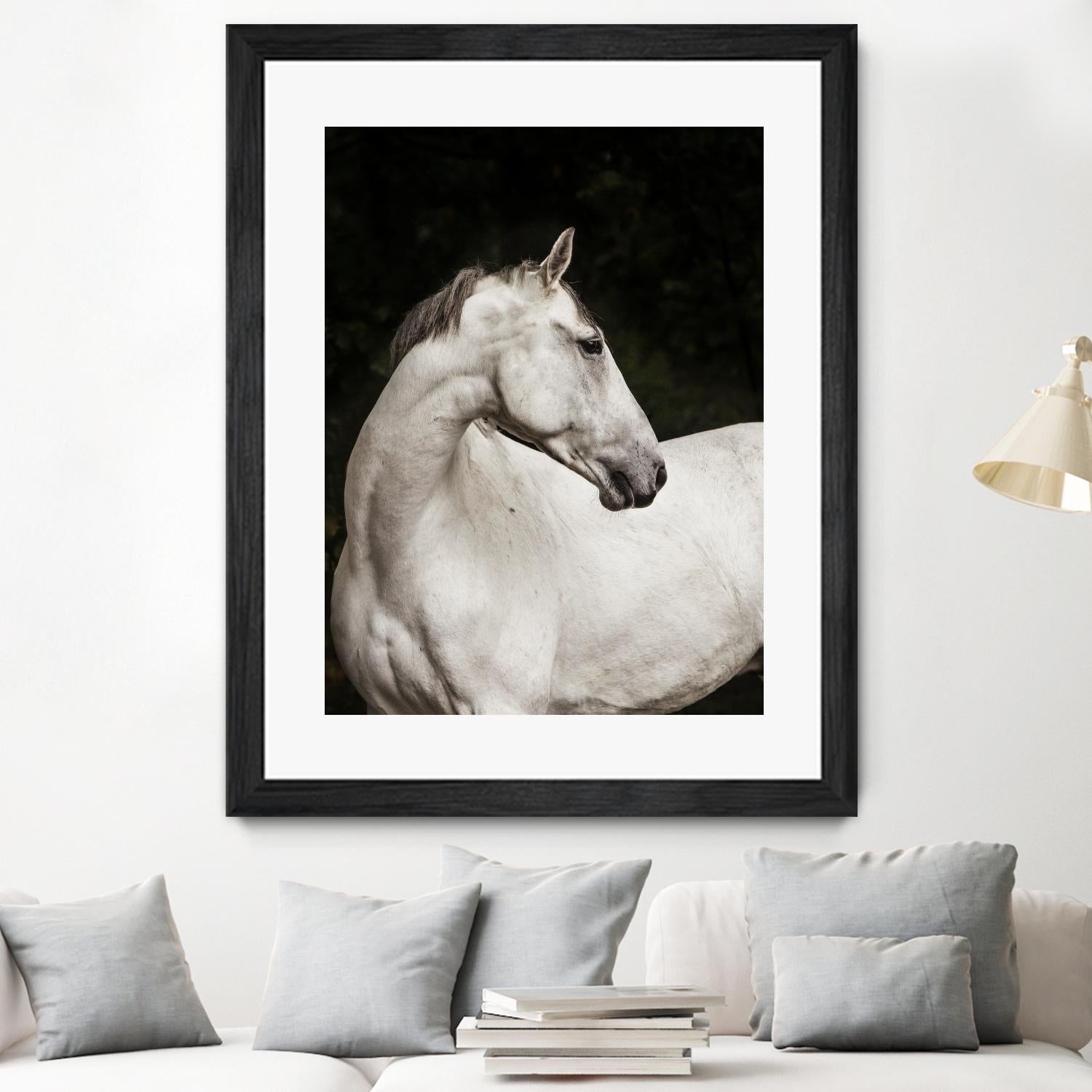 Elegant by Esther Marie on GIANT ART - white black & white horse