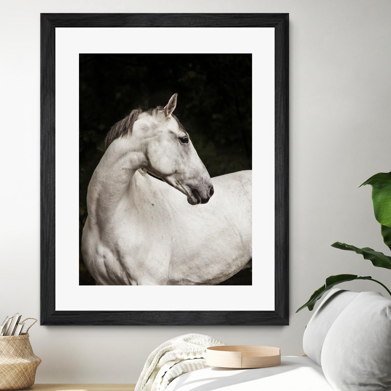 Elegant by Esther Marie on GIANT ART - white black & white horse