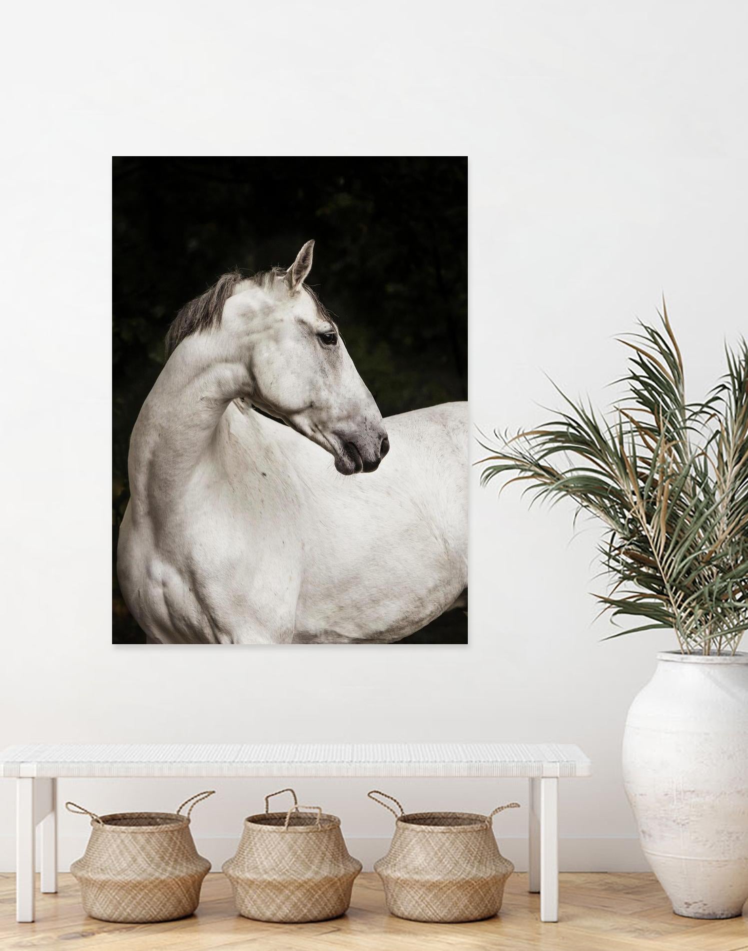 Elegant by Esther Marie on GIANT ART - white black & white horse
