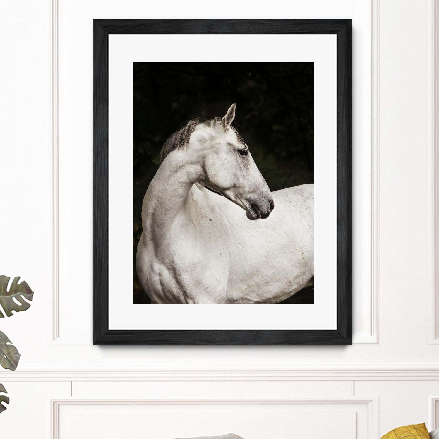 Elegant by Esther Marie on GIANT ART - white black & white horse