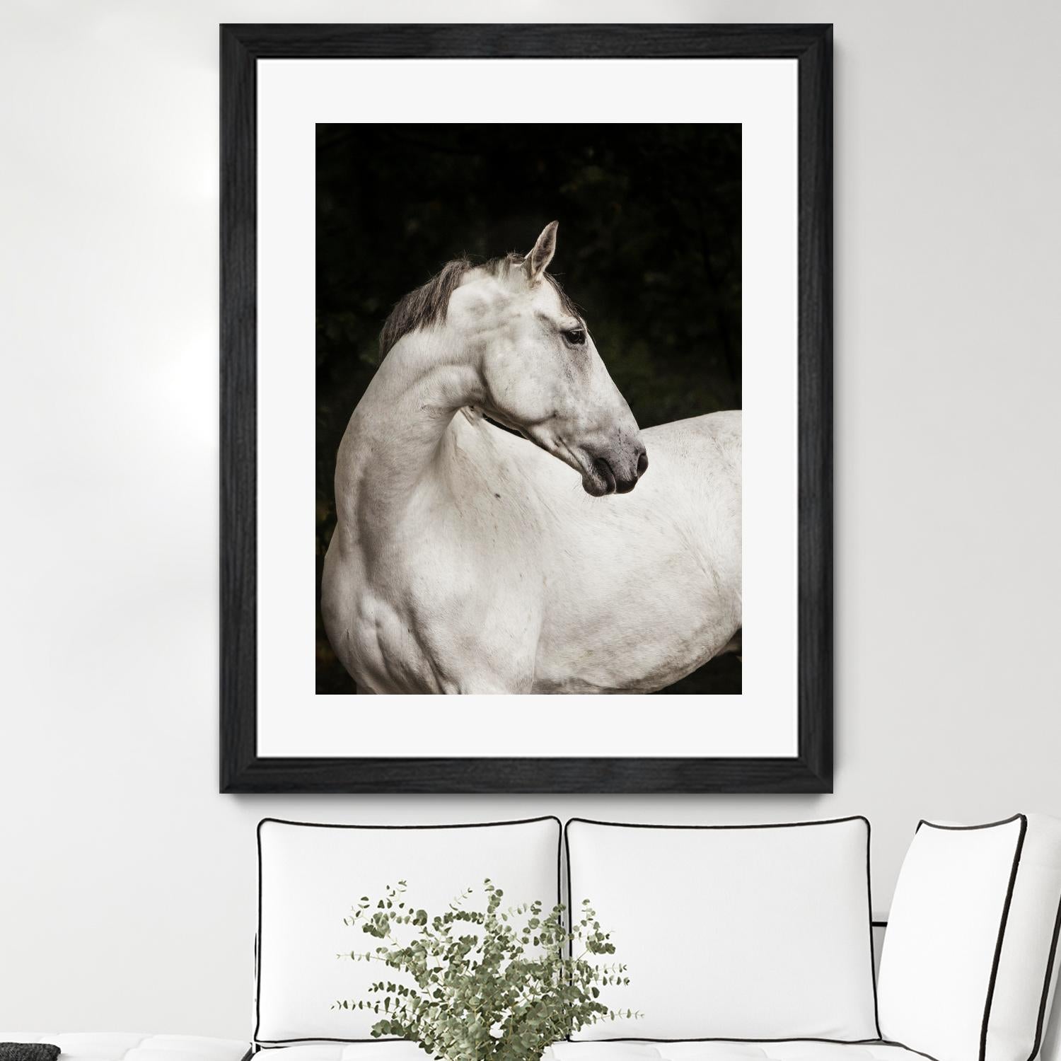 Elegant by Esther Marie on GIANT ART - white black & white horse