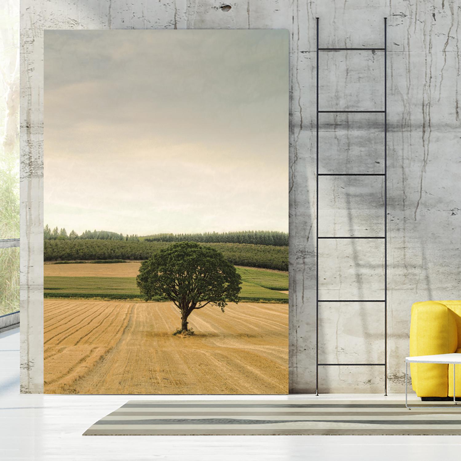 Lone Tree in an Autumn Field by Don Schwartz on GIANT ART - blue trees