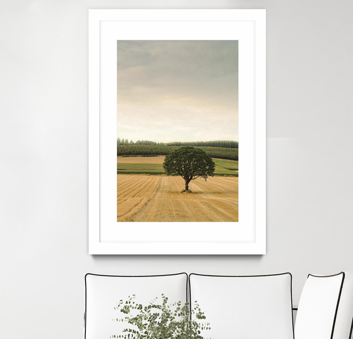 Lone Tree in an Autumn Field by Don Schwartz on GIANT ART - blue trees